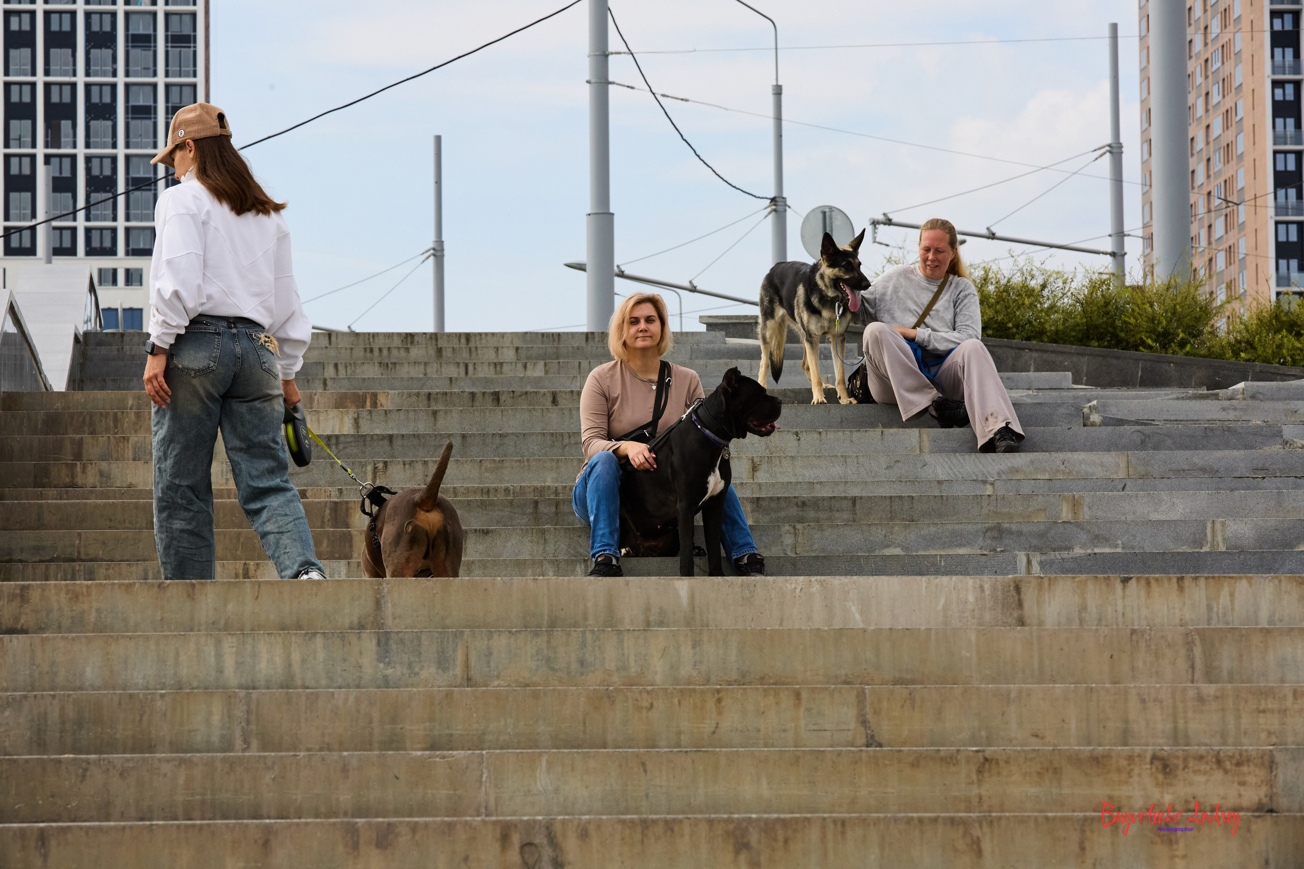 Проект фотопрогулка с хвостиком. Buyvolenko Andrey