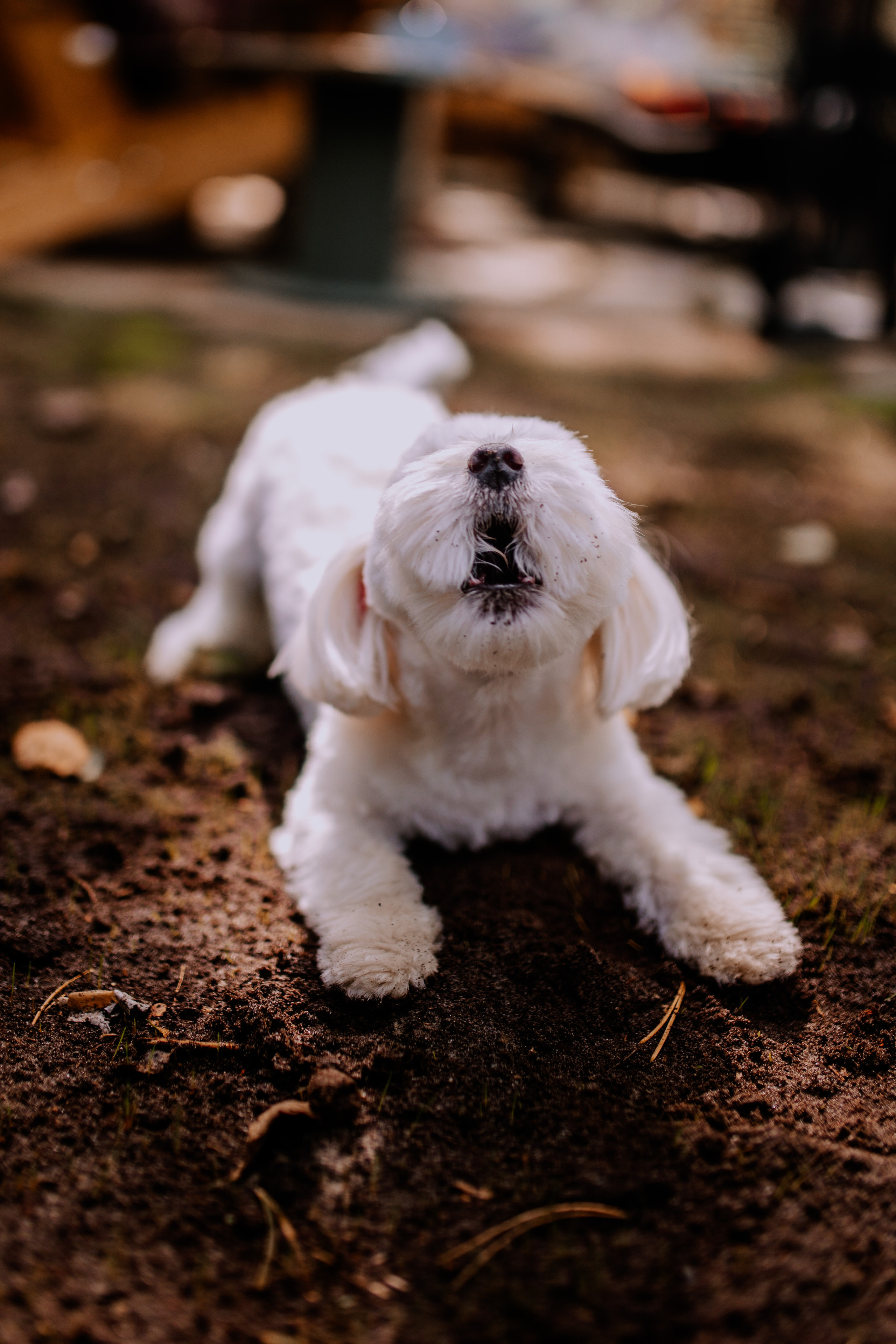 Фотосессия в Тюмени. Фотограф Шелудкова Яна, город Тюмень