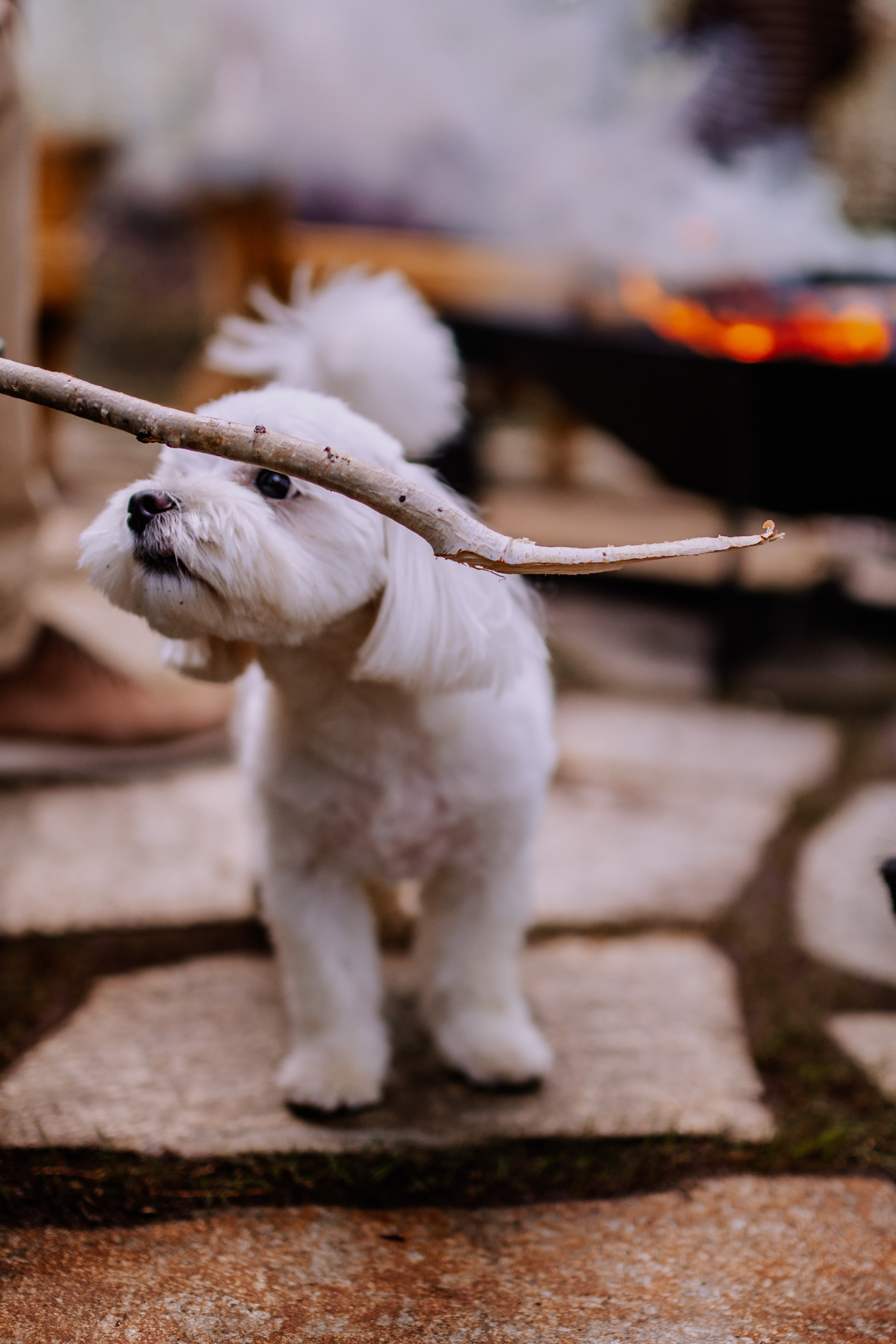 Фотосессия в Тюмени. Фотограф Шелудкова Яна, город Тюмень