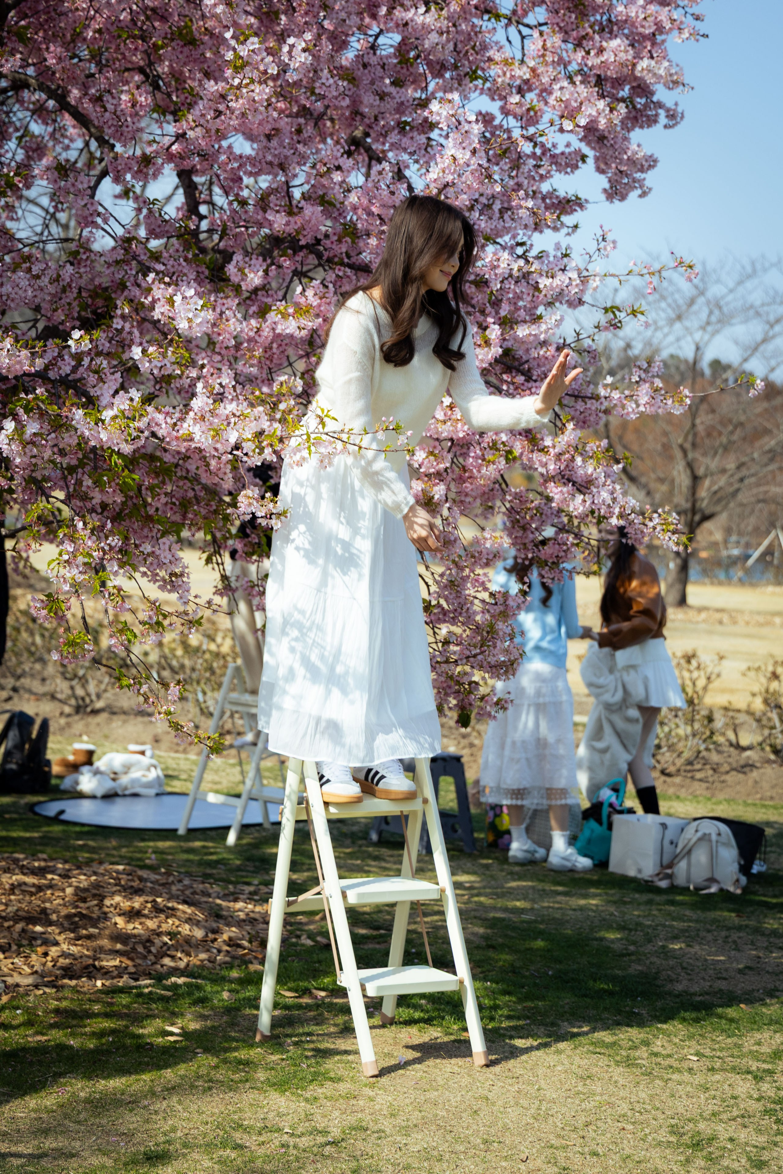 Шанхай (март 2026). Фотограф Виноградов Константин