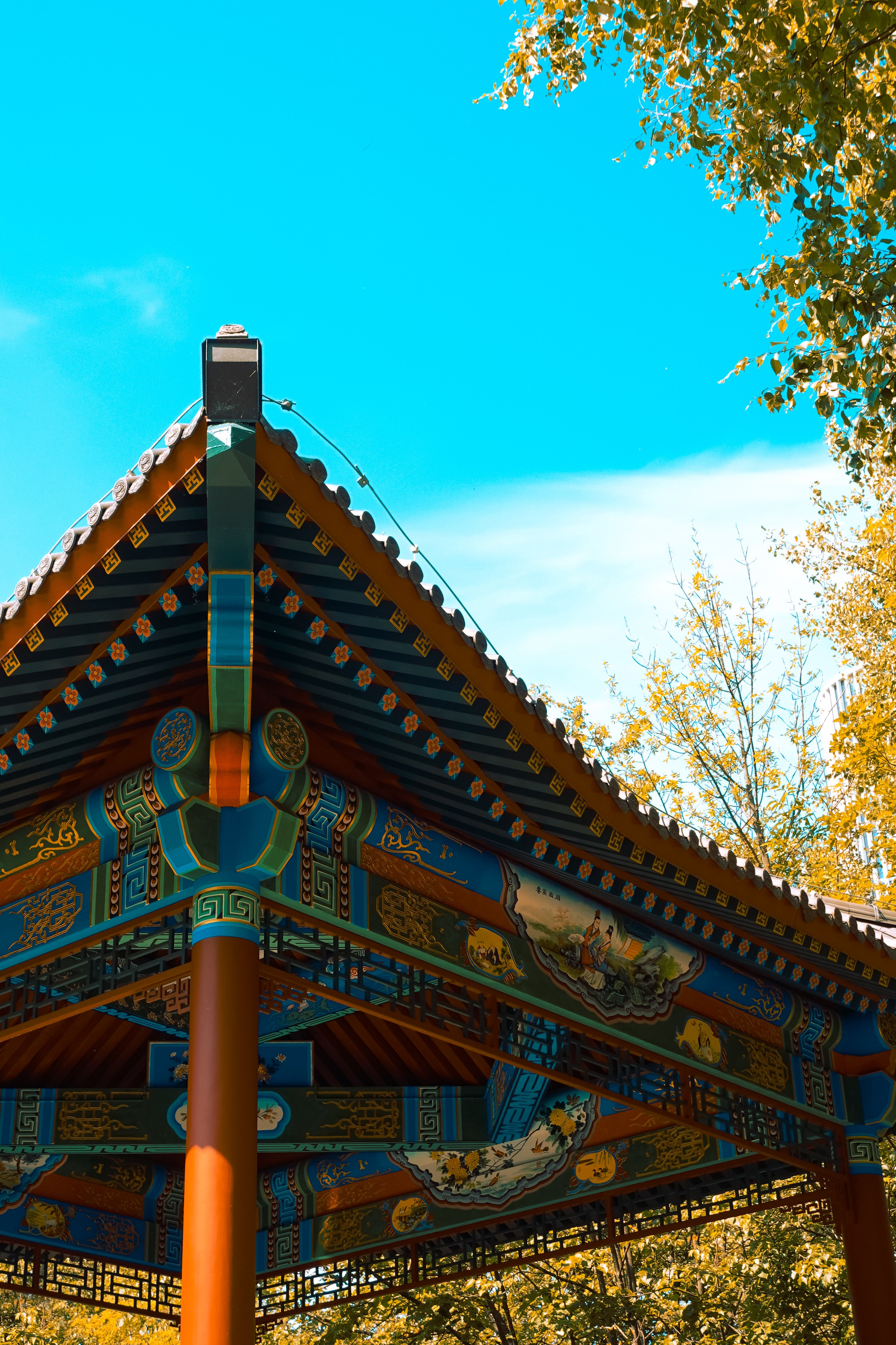 Парк Хуамин. Фотограф Алиса Аспер