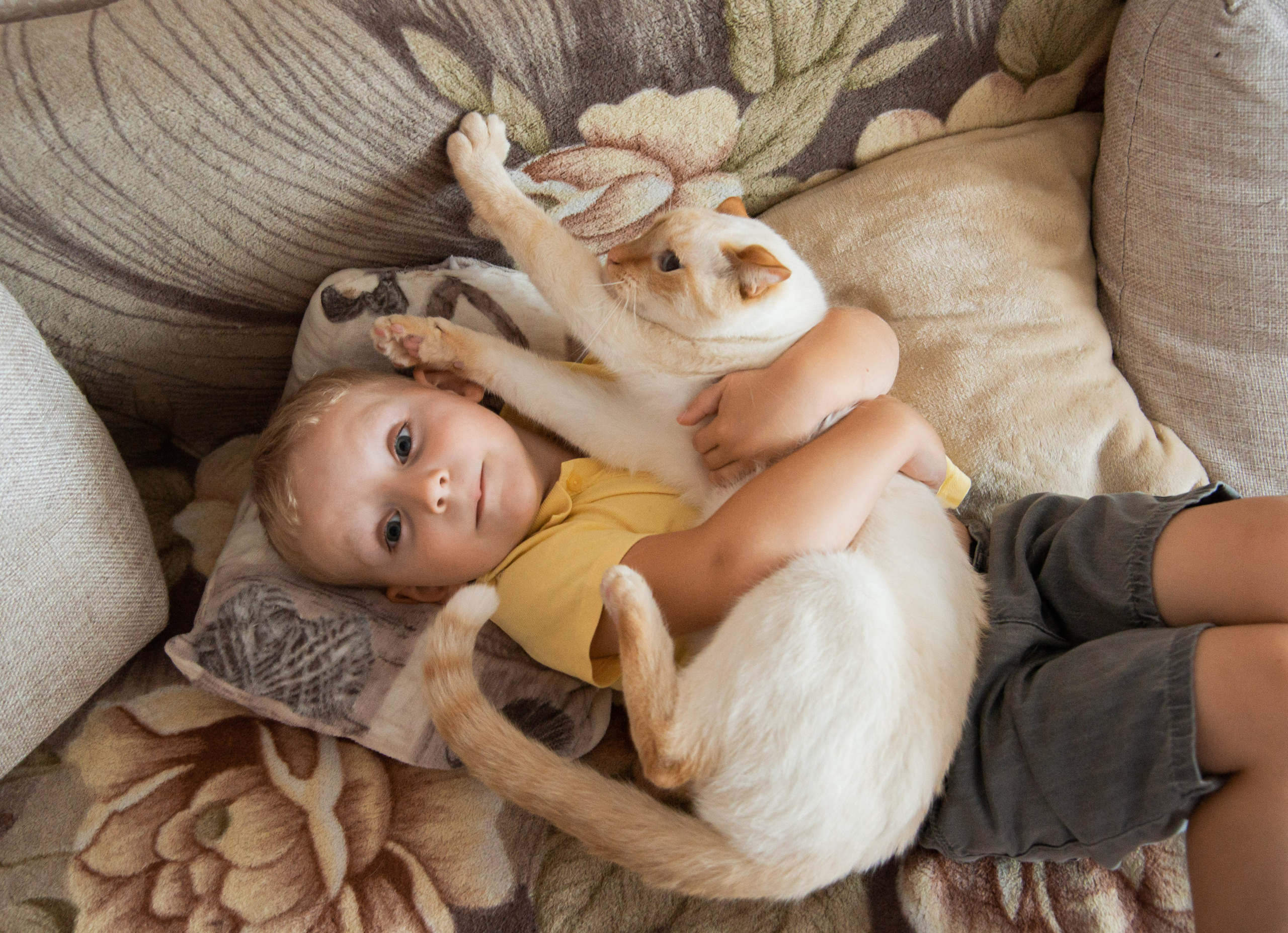 Домашние обнимашки. Свадебный и семейный фотограф Ольга Астрейко