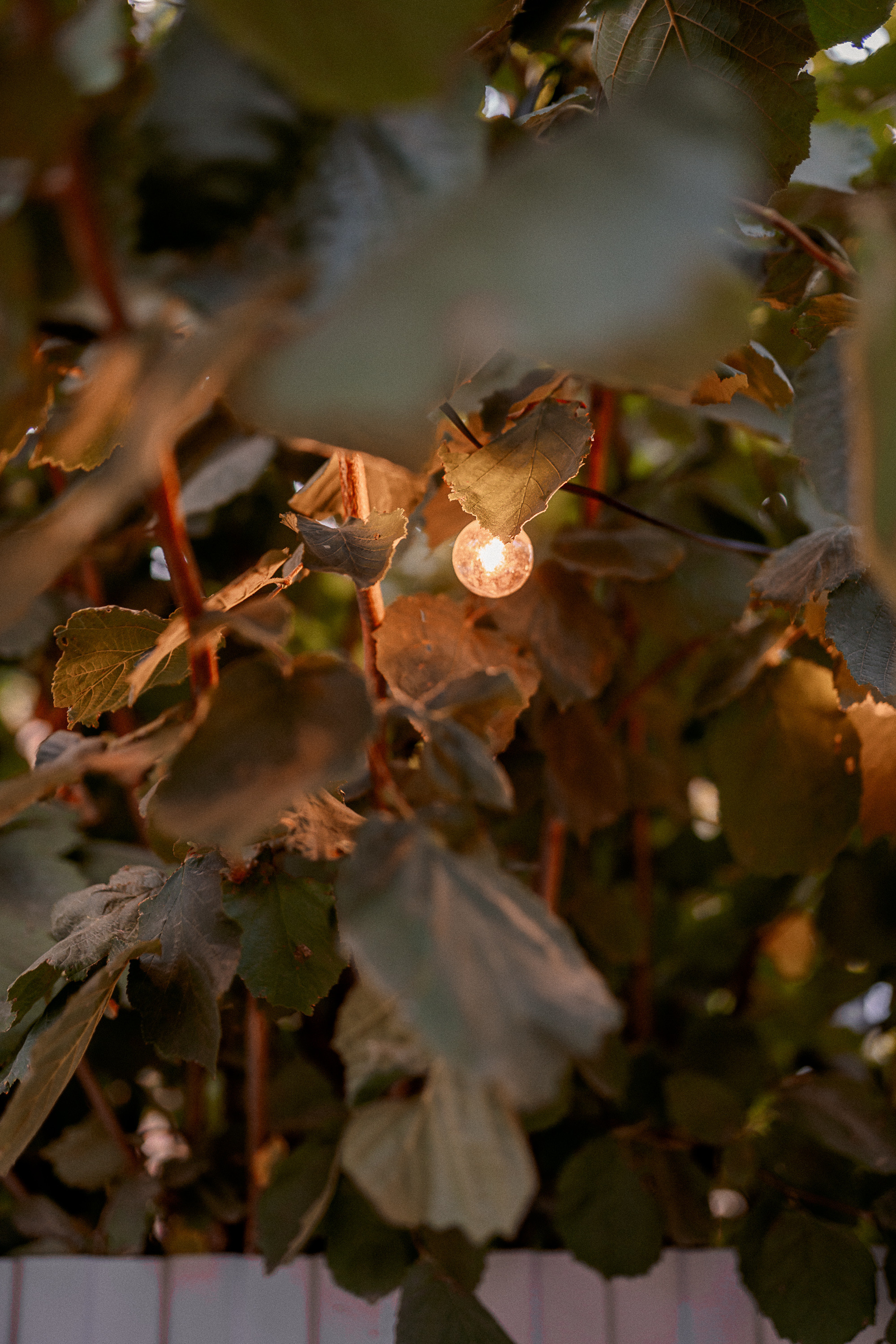 Лето на даче. Семейный и детский фотограф в Краснодаре