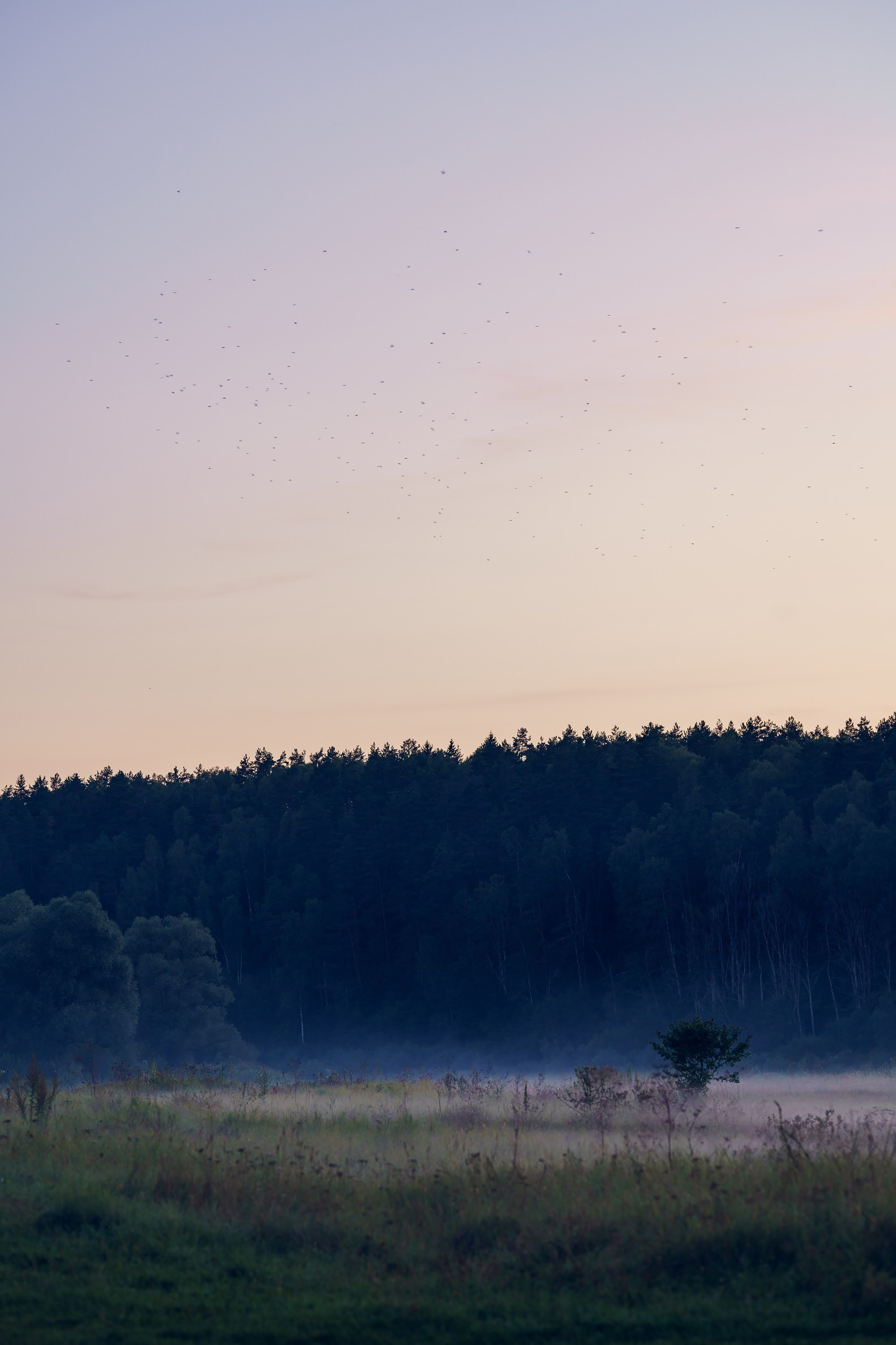 Фотографии Национальный парк Угра. Фотограф спортивные события, недвижимость, турбизнес