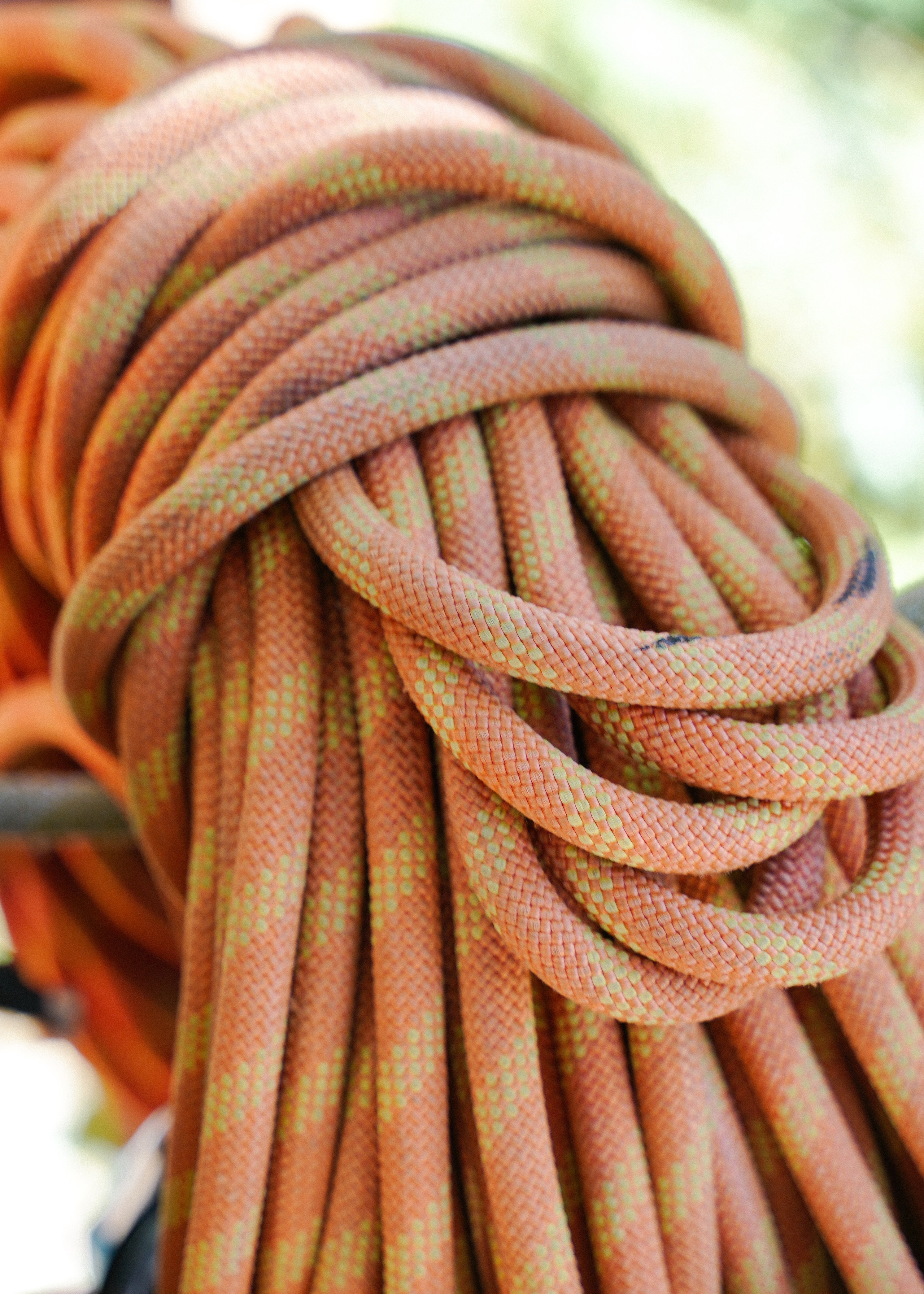 ПАПА + ДОЧЬ. Фотограф Алина Кудри