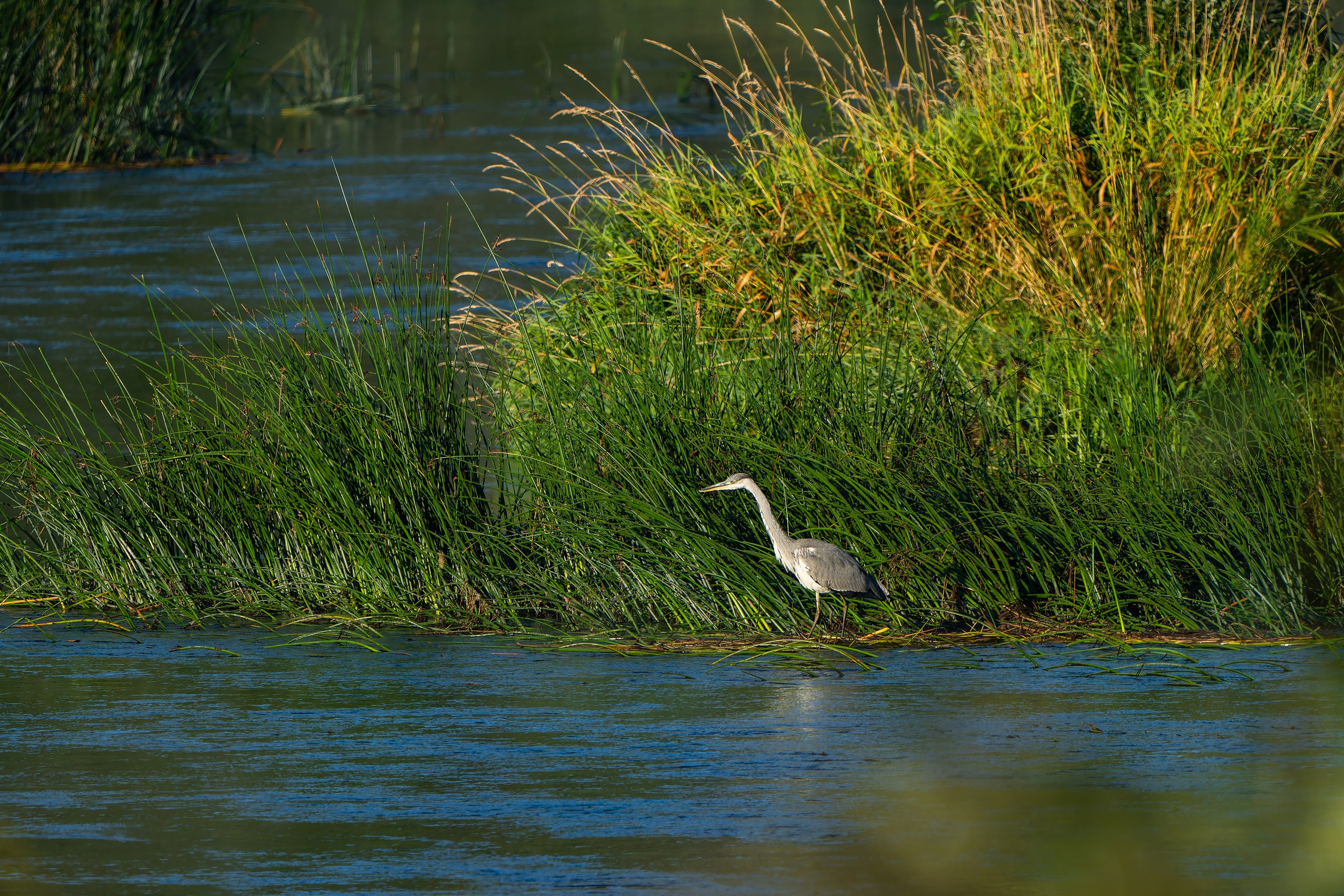 Фотографии Национальный парк Угра. Фотограф спортивные события, недвижимость, турбизнес