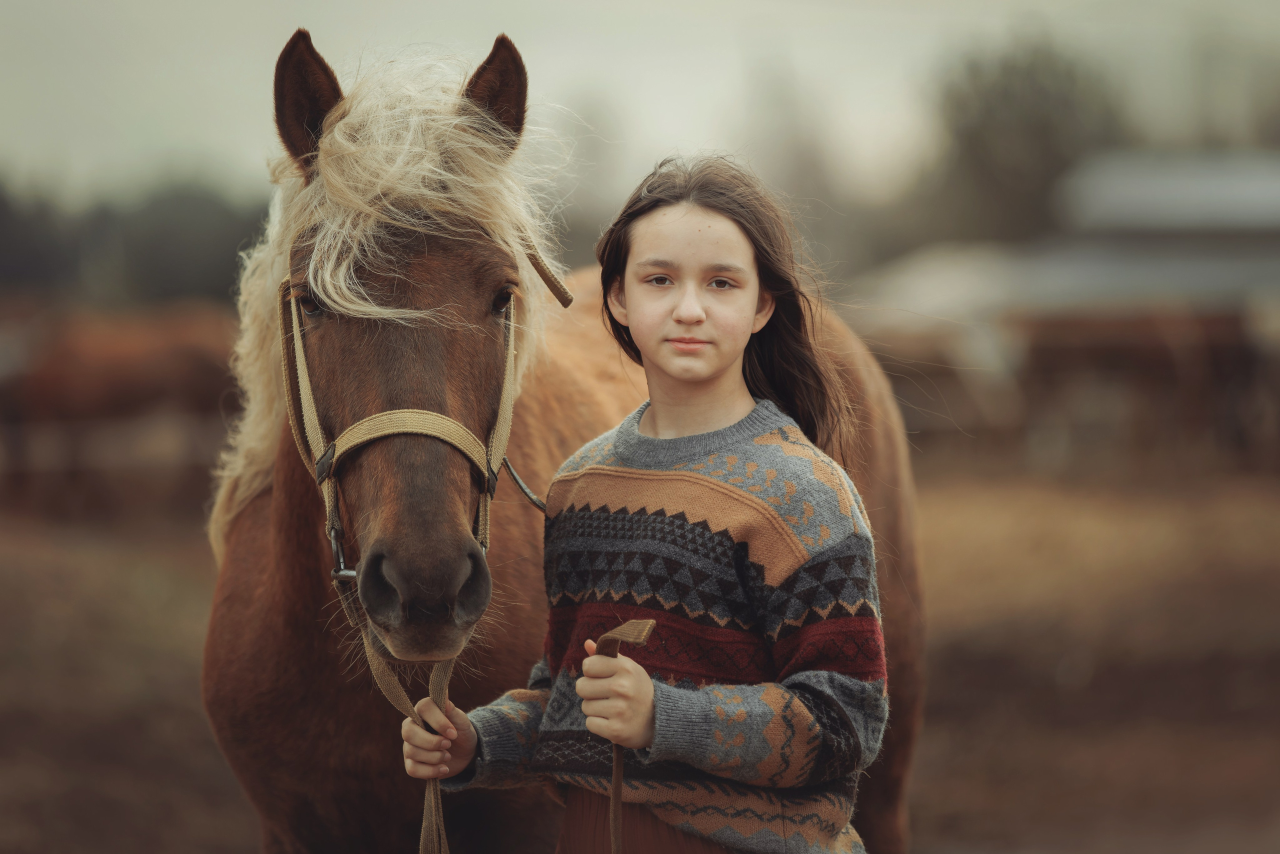 Детская конная съёмка. Детская Конная фотография в Москве Юлия Шепелева