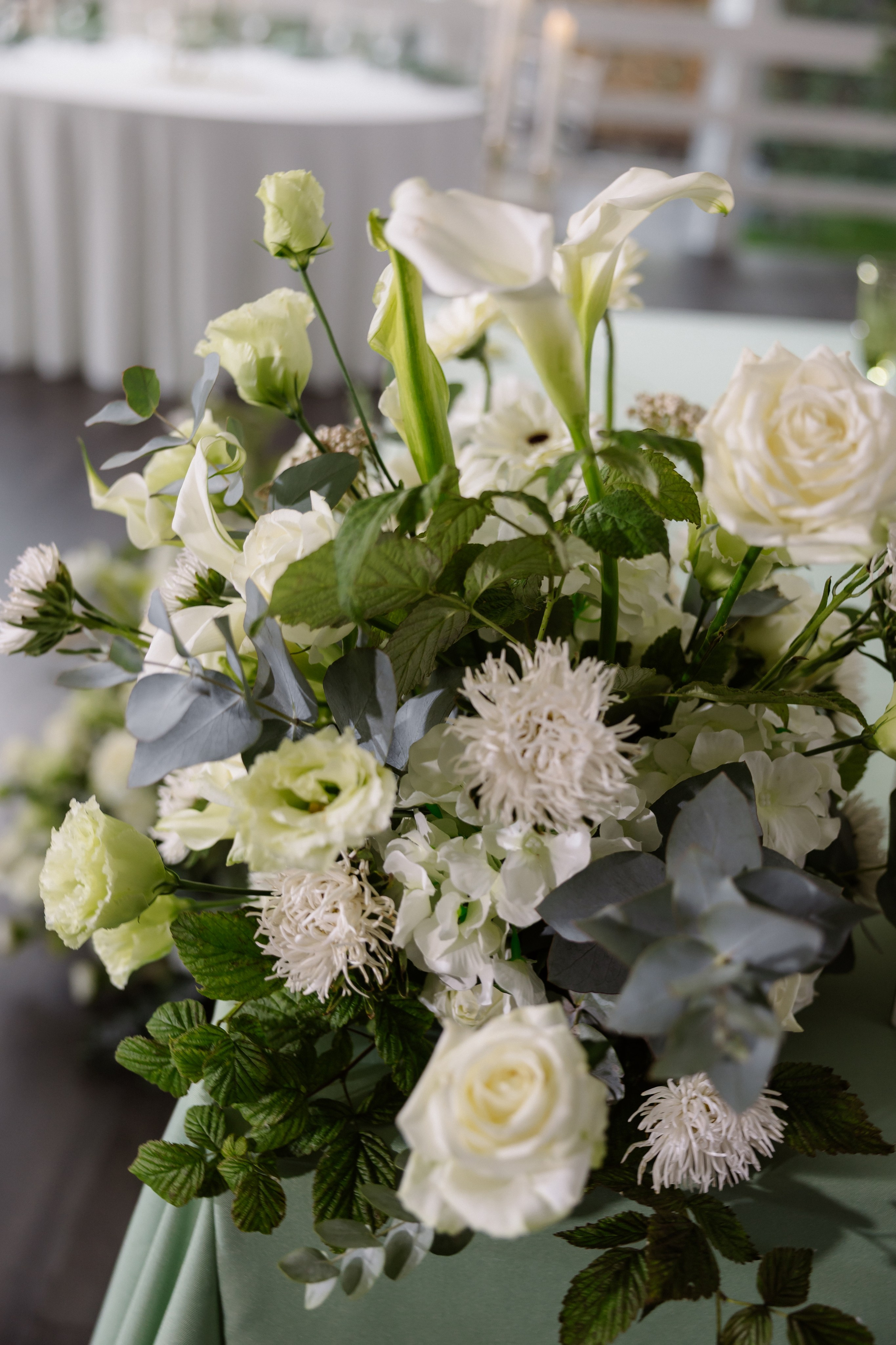 15.08.2024. RETOUCH-HOUSE