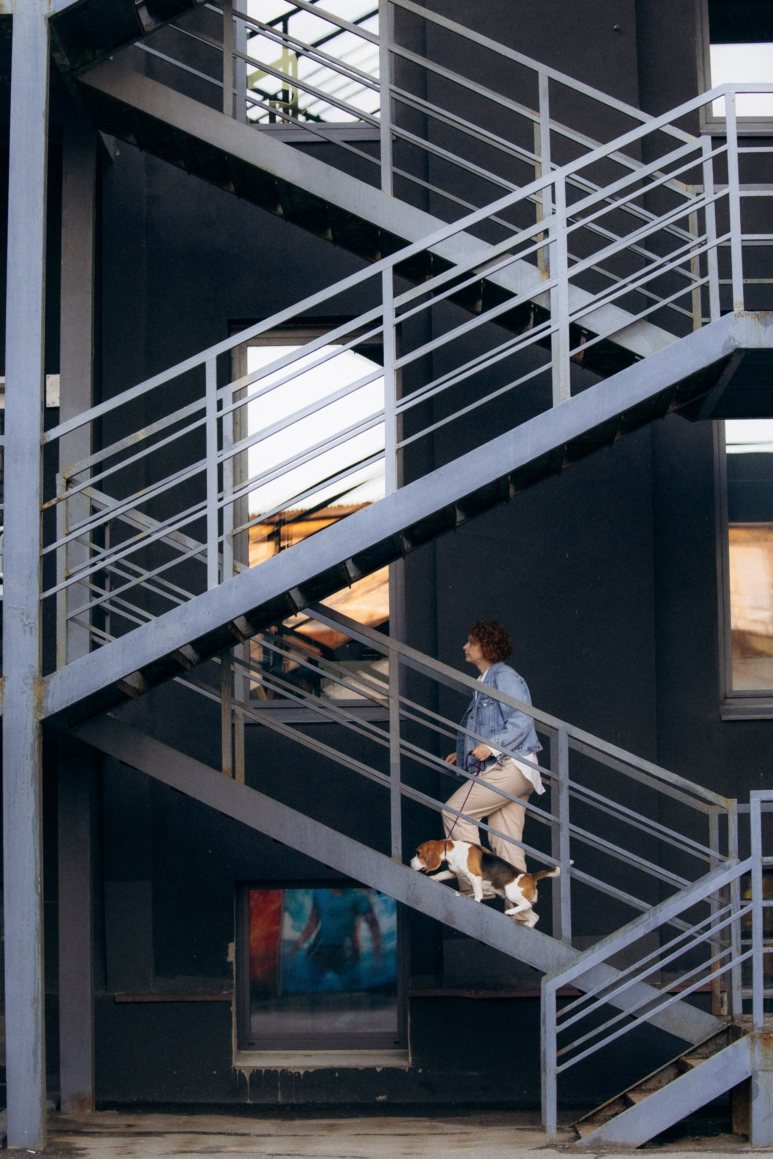 Анна и Рэна. Рассвет в Москве. Фотограф анималист в Казани Алина Сулейманова. Фотограф животных