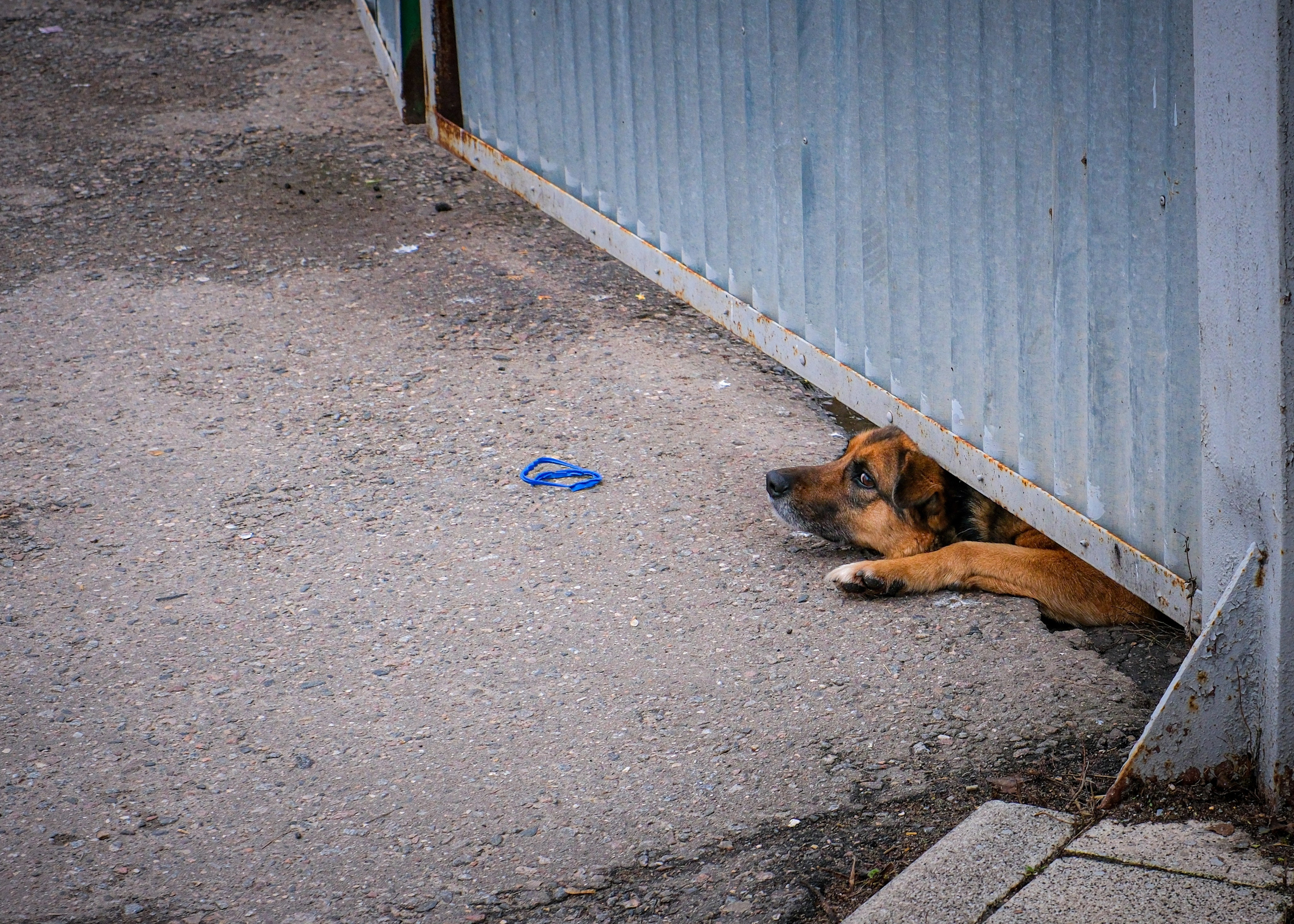 Текстуры. Фотограф в Москве, фотожурналист Александр Малахов