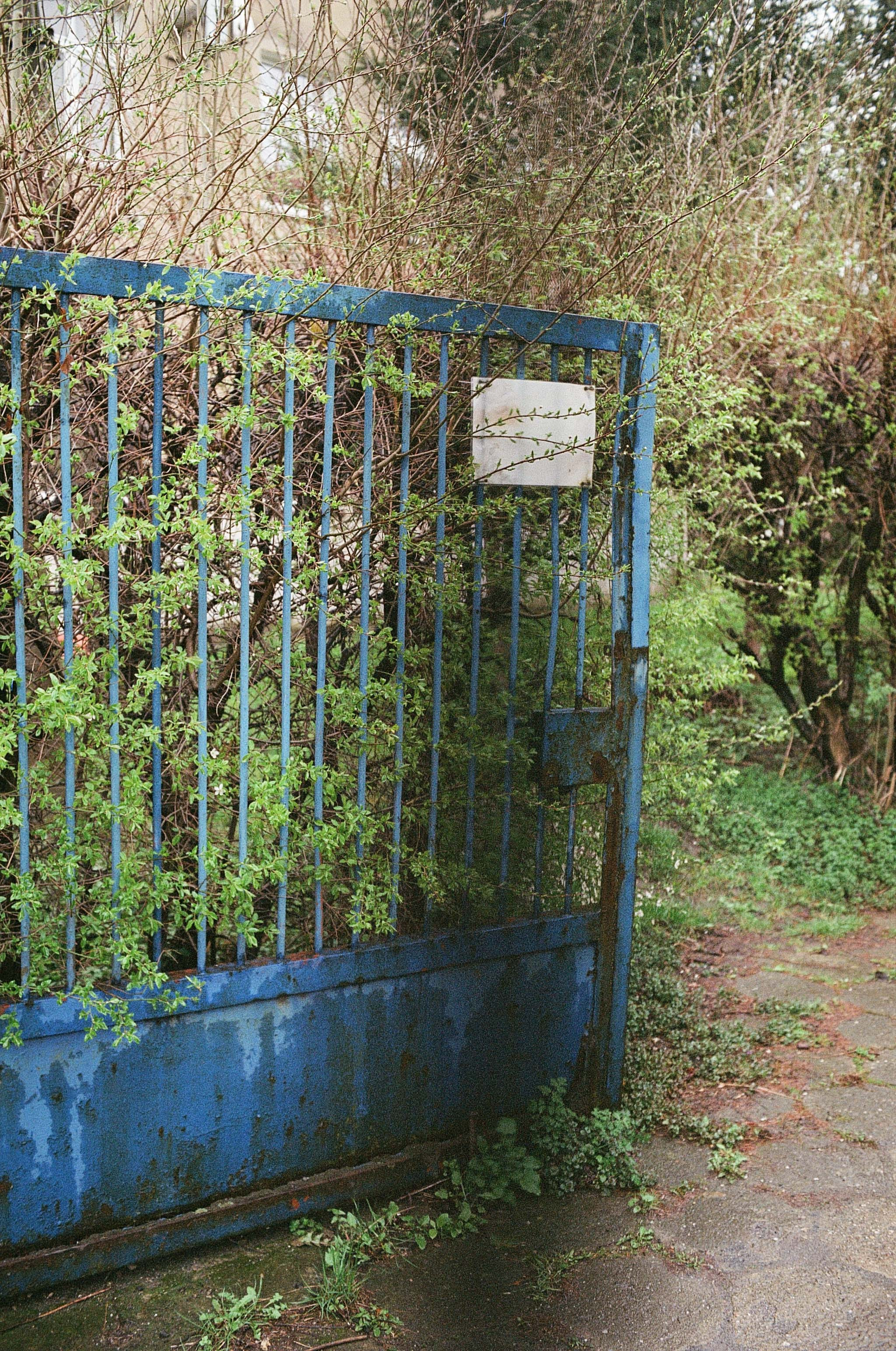 Growing pains. Photographer, Documentary and Art