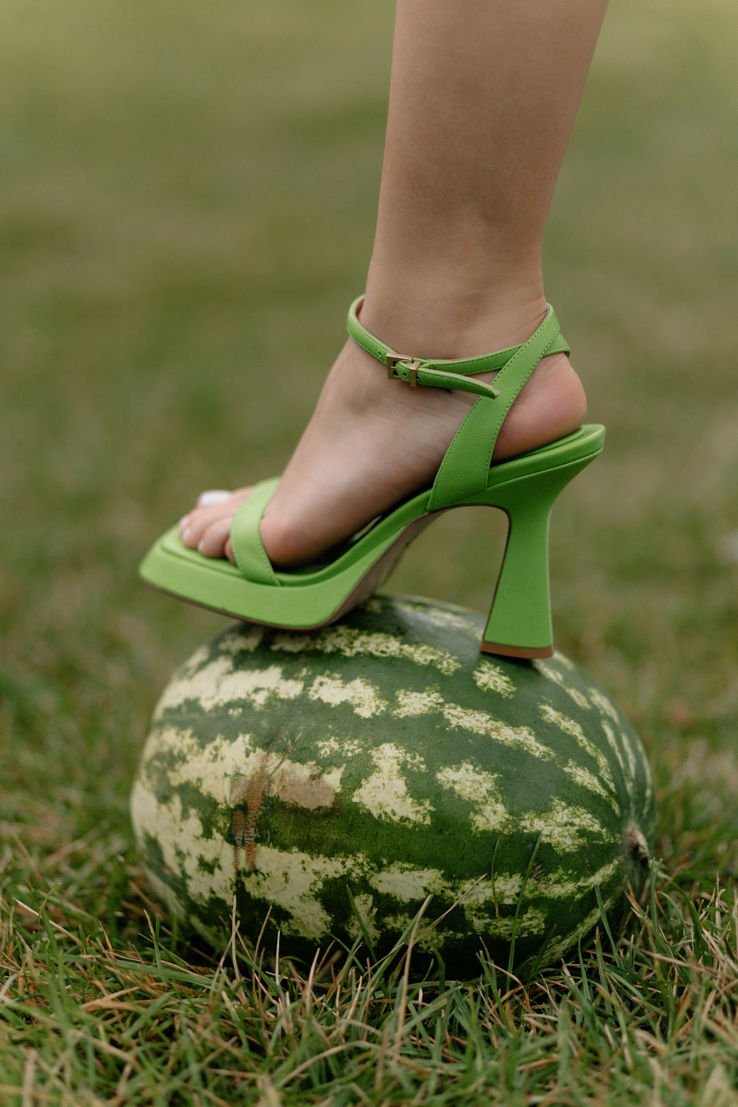 Дыня или арбуз?. Свадебный фотограф Алина Хабарова