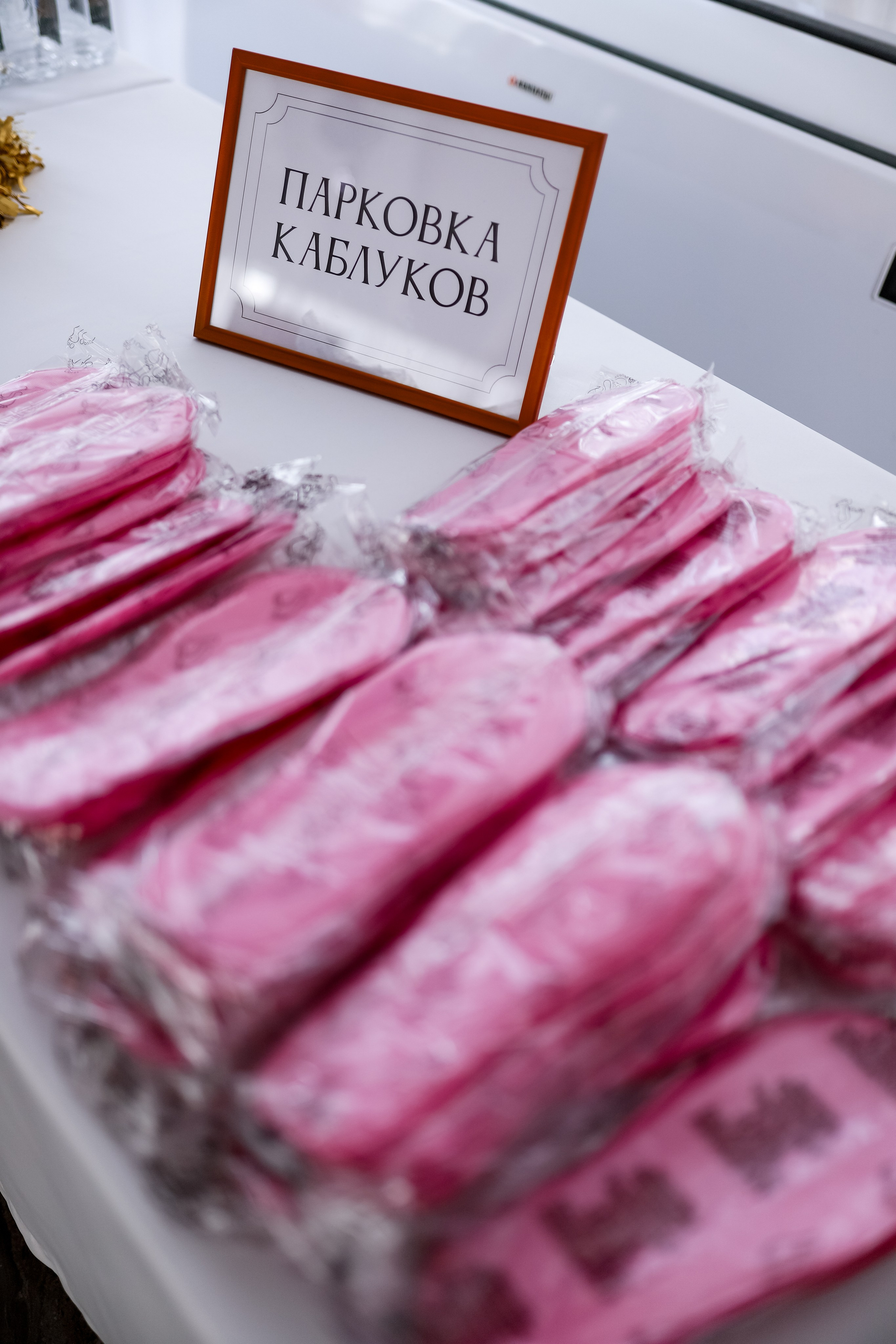 Роскошный вечер Наталии Карамянц