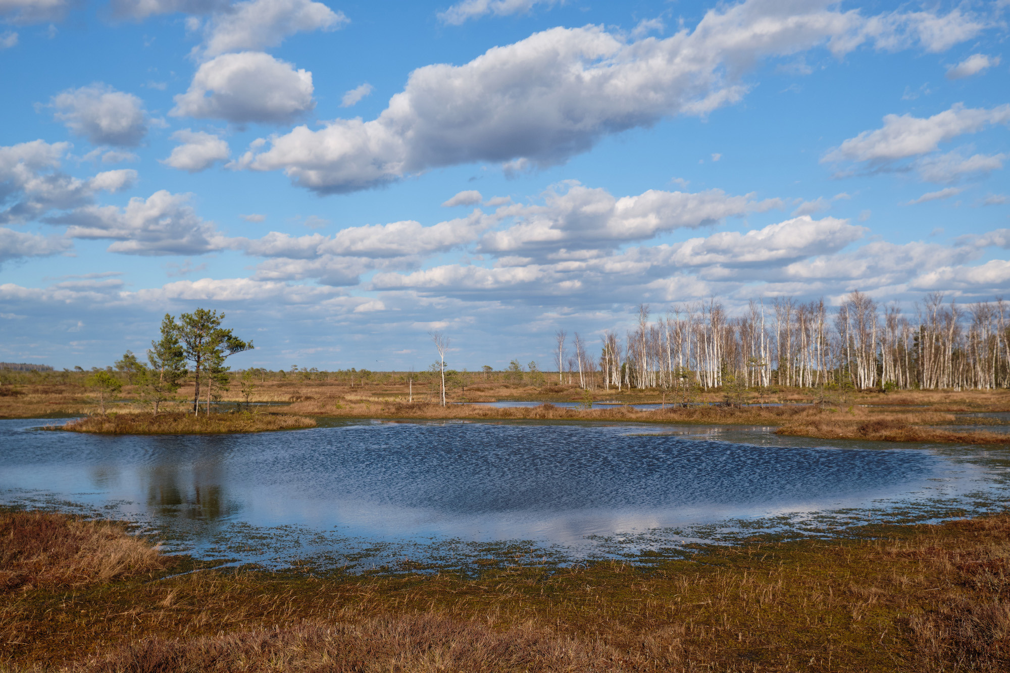 Велопоход по болоту Ельня. Репортажный фотограф Дмитрий Литвинский. Минск, Беларусь, мир