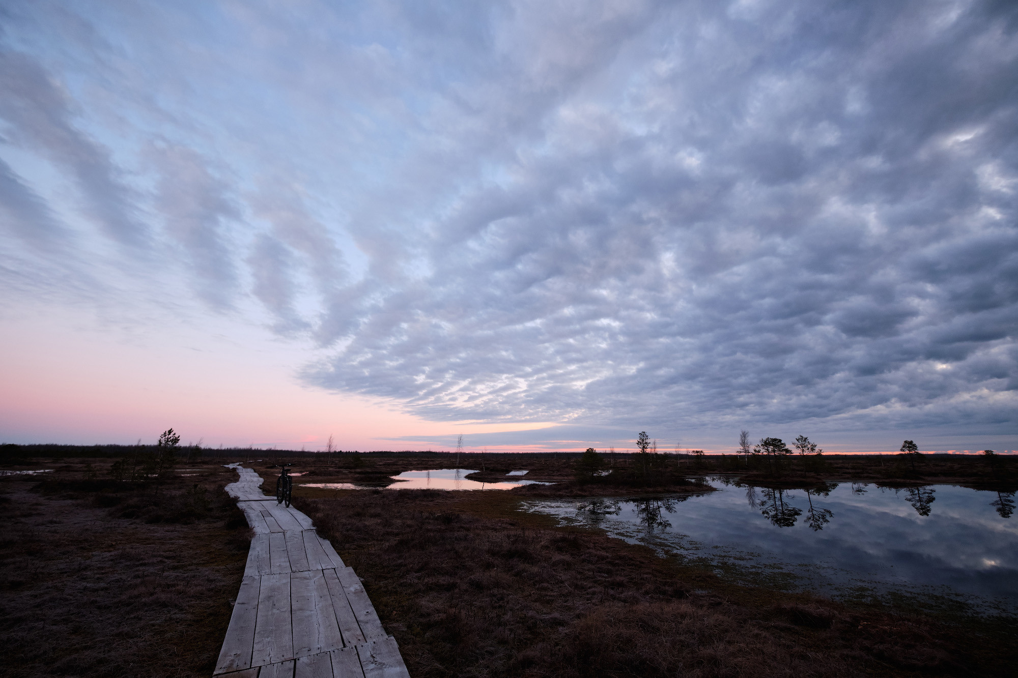 Велопоход по болоту Ельня. Репортажный фотограф Дмитрий Литвинский. Минск, Беларусь, мир