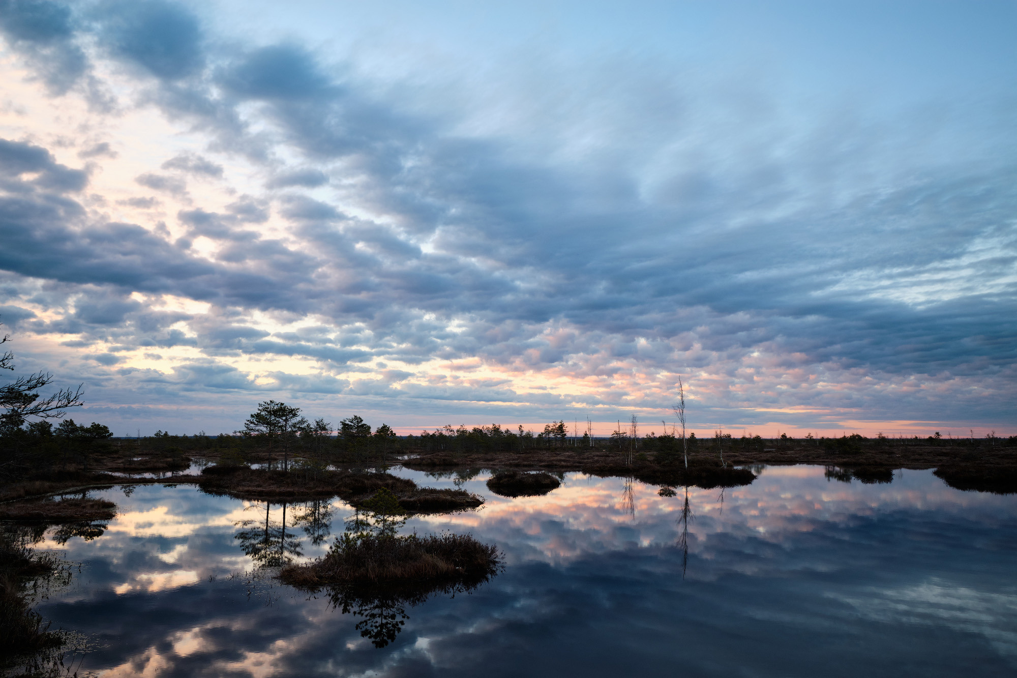 Велопоход по болоту Ельня. Репортажный фотограф Дмитрий Литвинский. Минск, Беларусь, мир