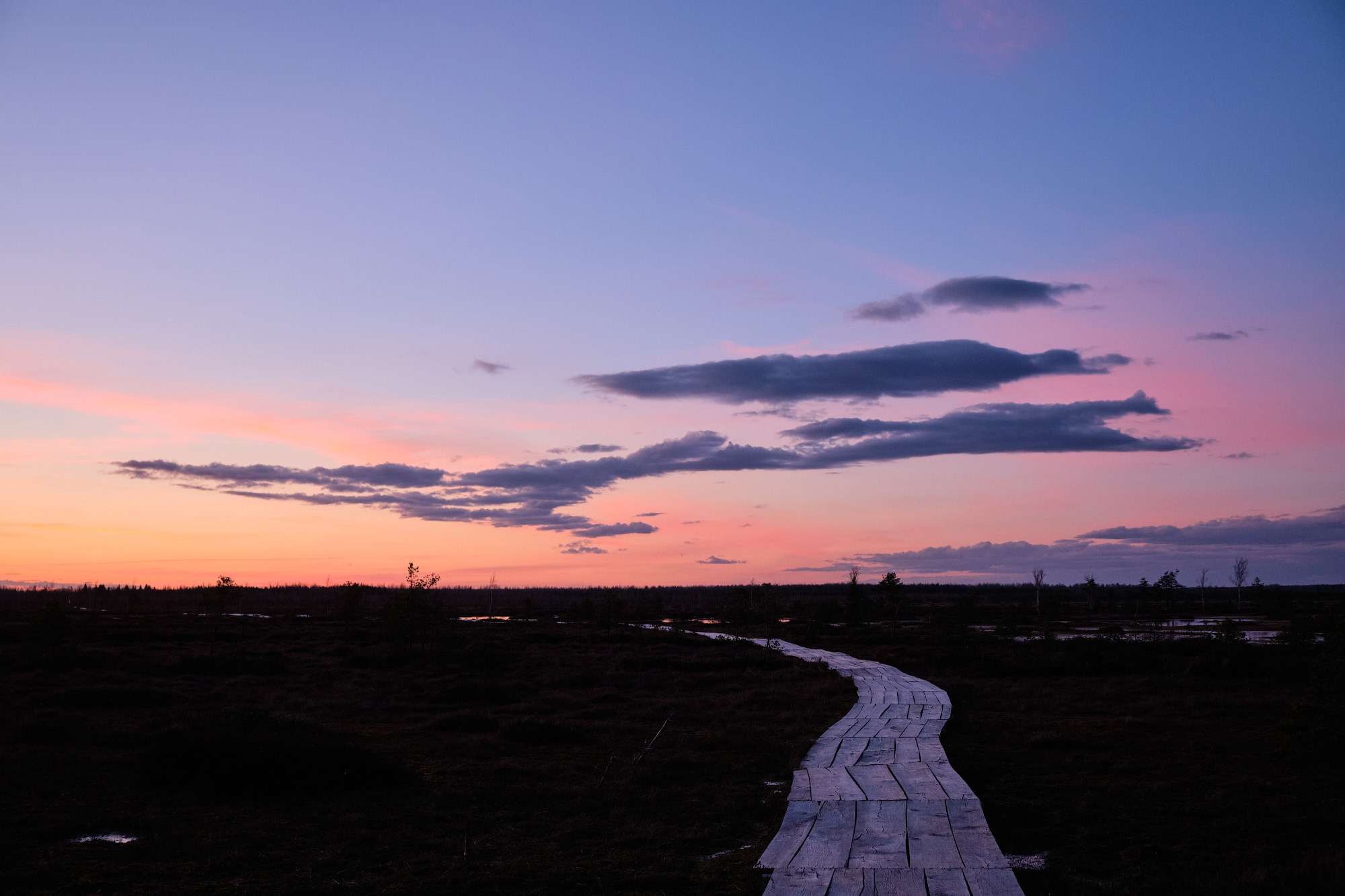 Велопоход по болоту Ельня. Репортажный фотограф Дмитрий Литвинский. Минск, Беларусь, мир