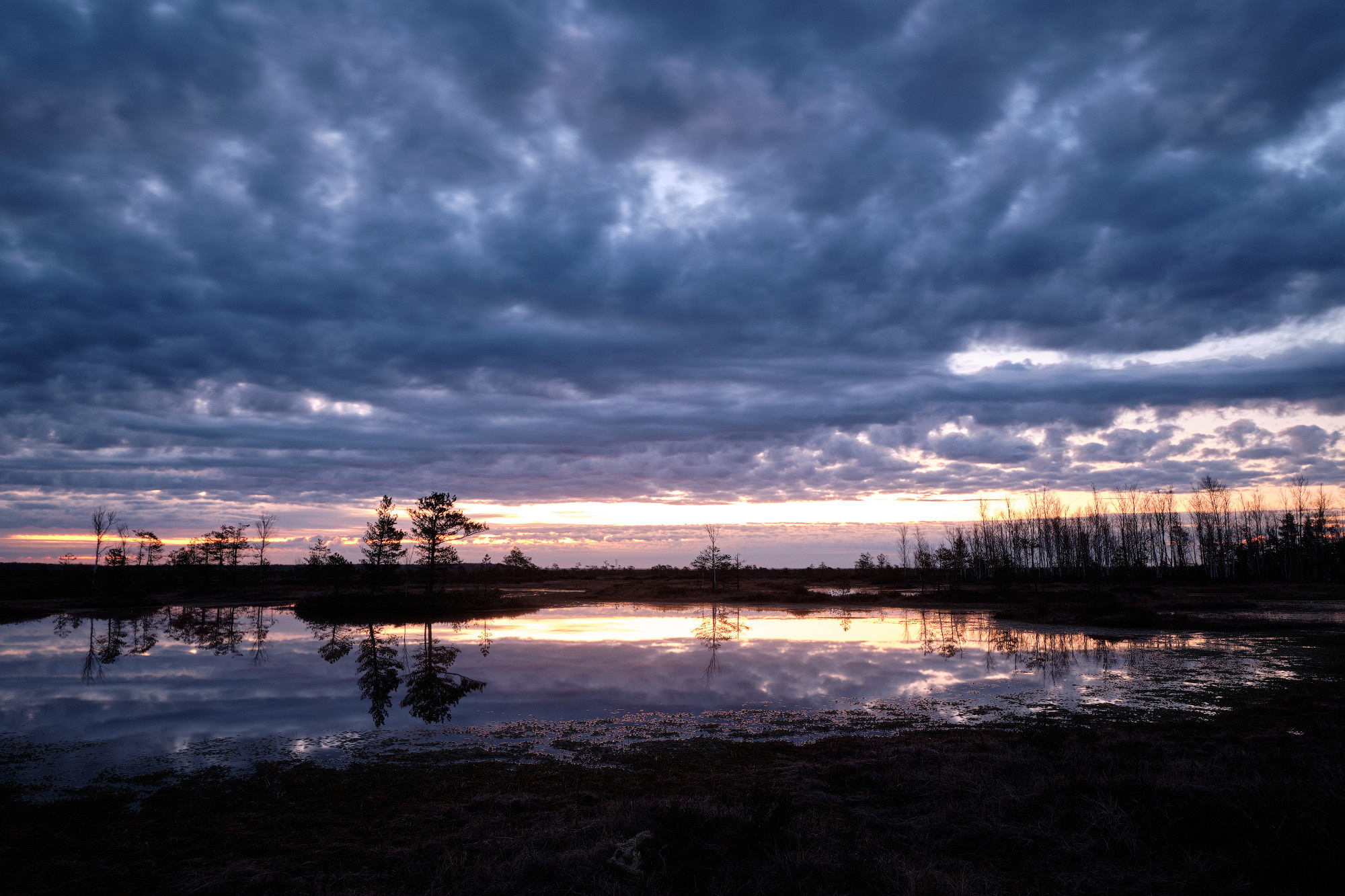 Велопоход по болоту Ельня. Репортажный фотограф Дмитрий Литвинский. Минск, Беларусь, мир