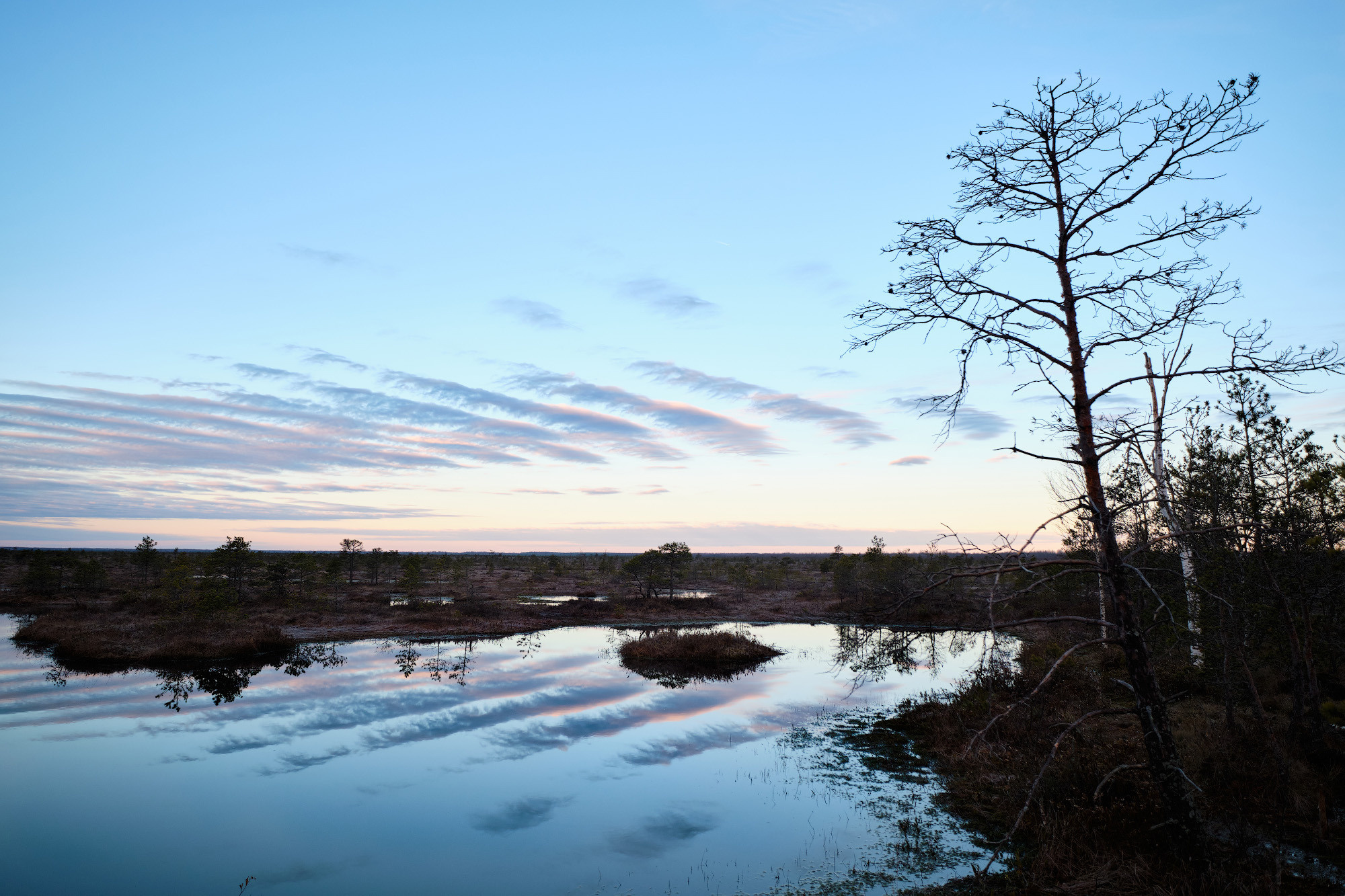 Велопоход по болоту Ельня. Репортажный фотограф Дмитрий Литвинский. Минск, Беларусь, мир