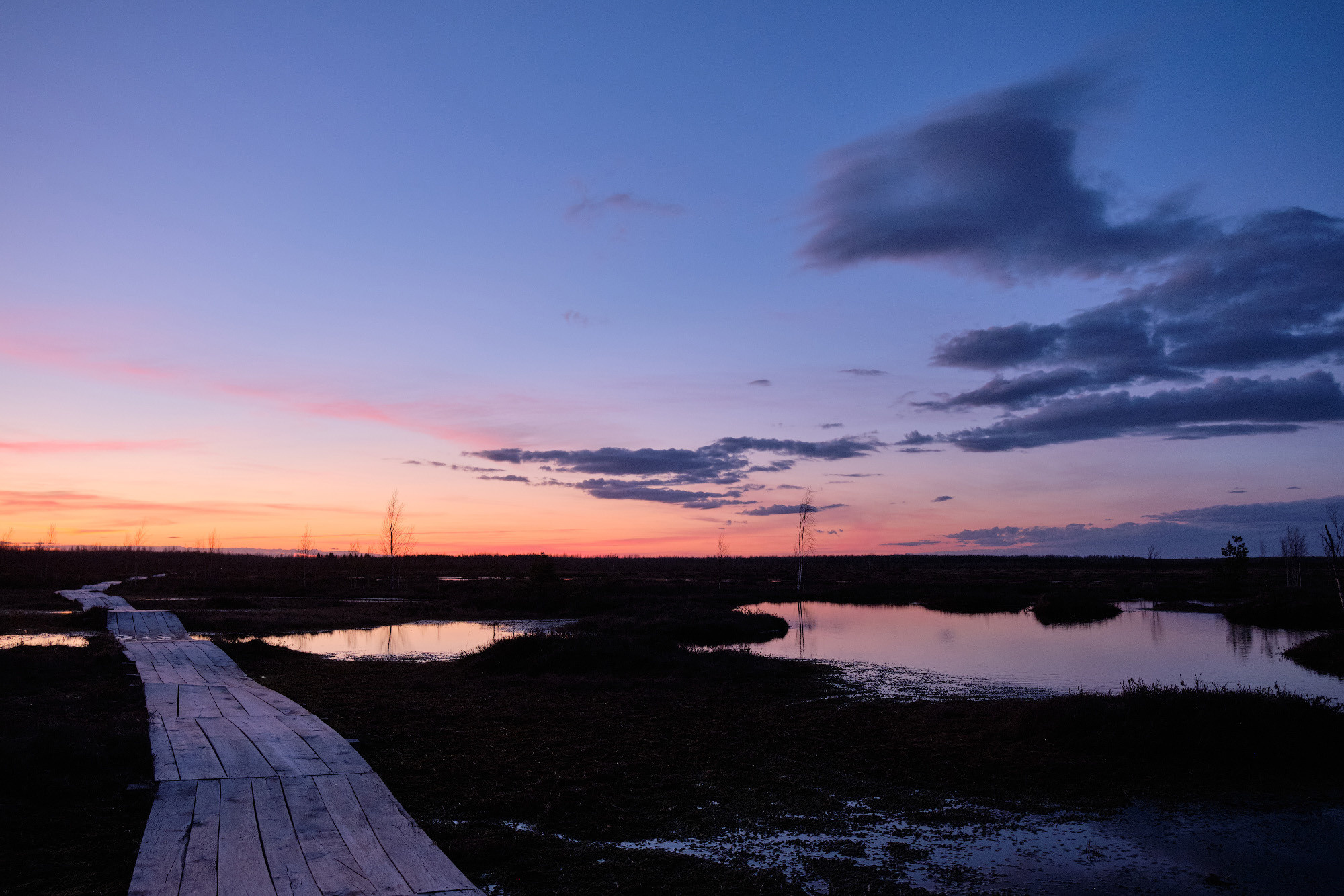 Велопоход по болоту Ельня. Репортажный фотограф Дмитрий Литвинский. Минск, Беларусь, мир