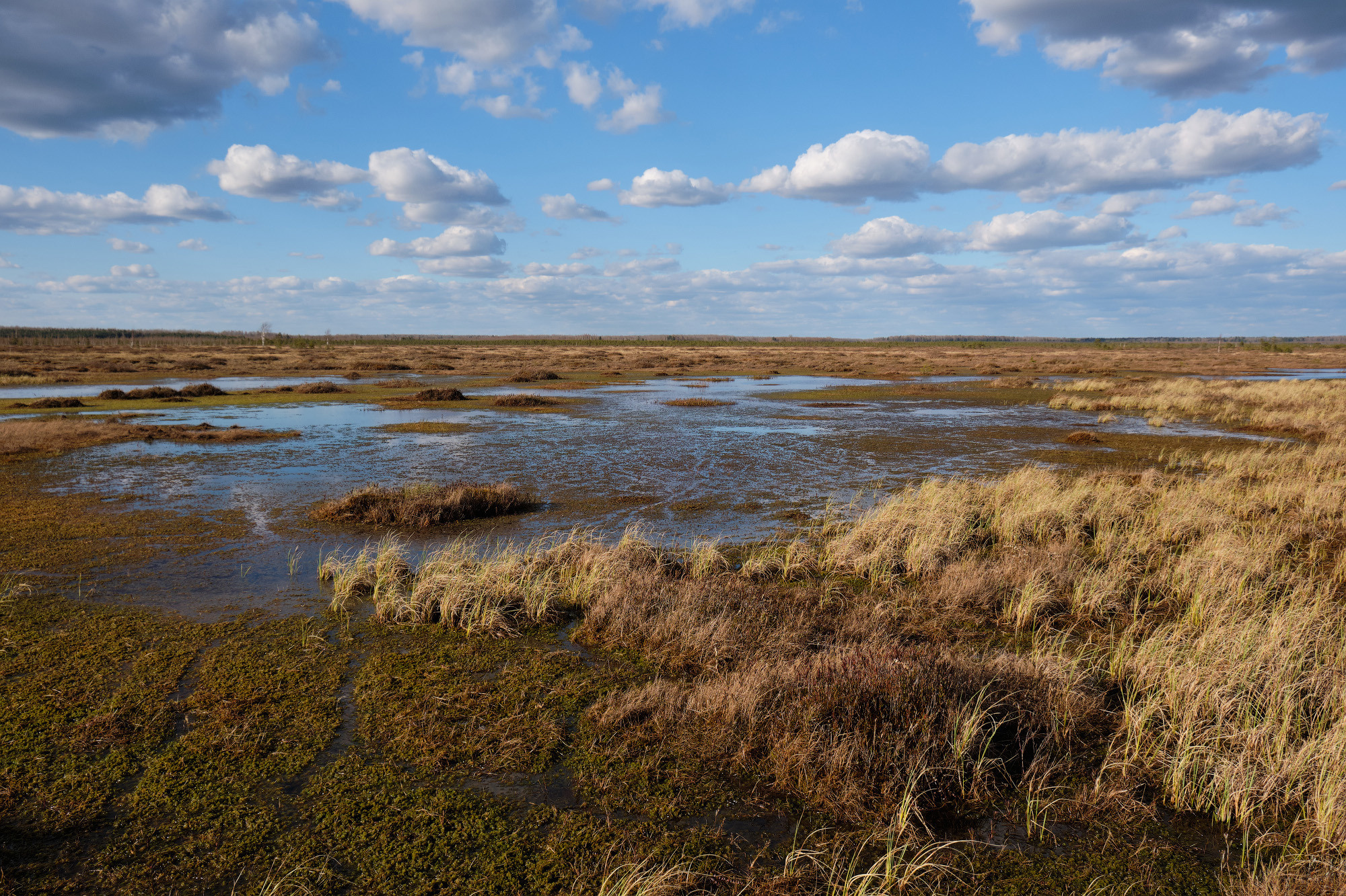 Велопоход по болоту Ельня. Репортажный фотограф Дмитрий Литвинский. Минск, Беларусь, мир