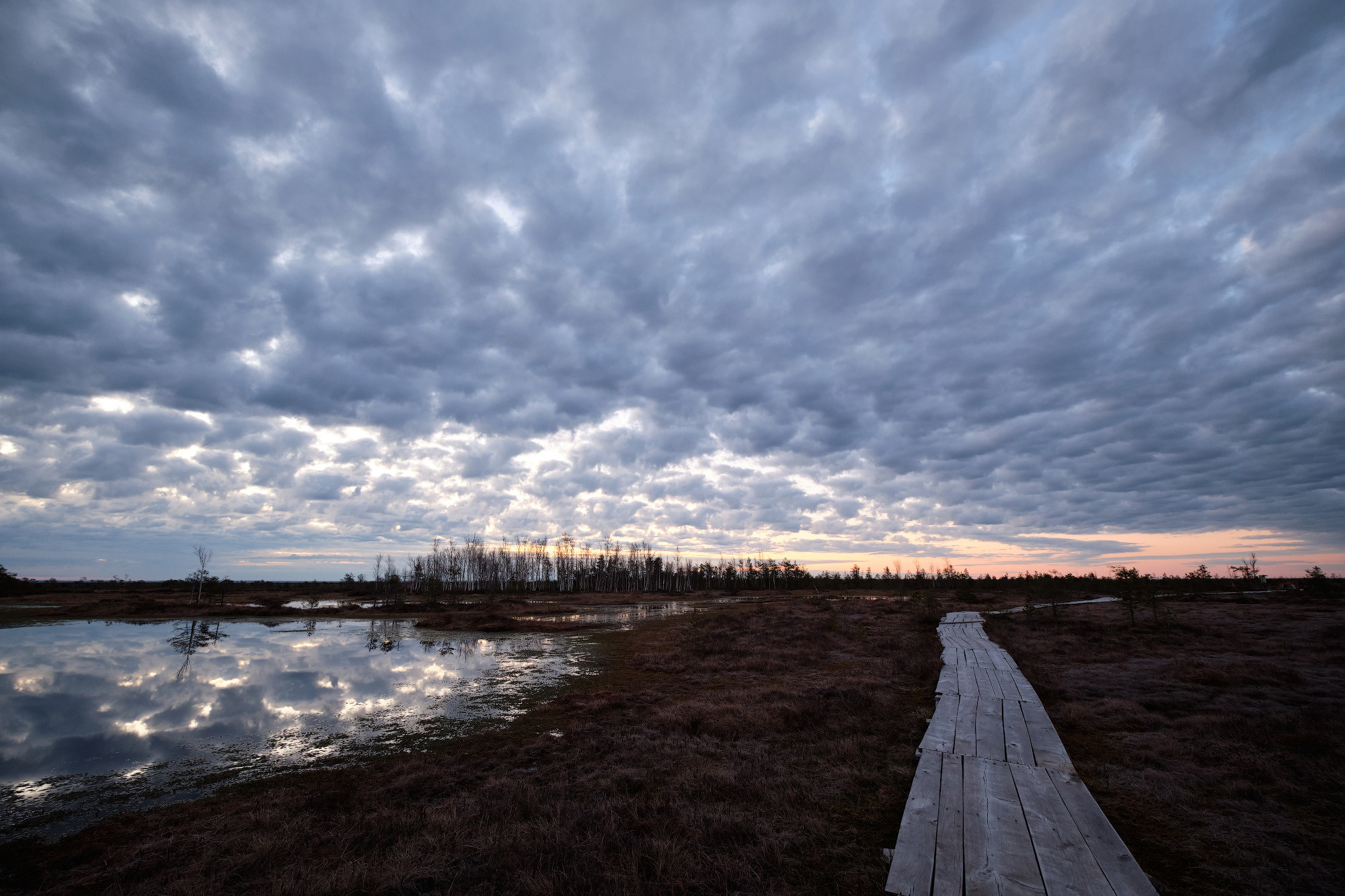 Велопоход по болоту Ельня. Репортажный фотограф Дмитрий Литвинский. Минск, Беларусь, мир