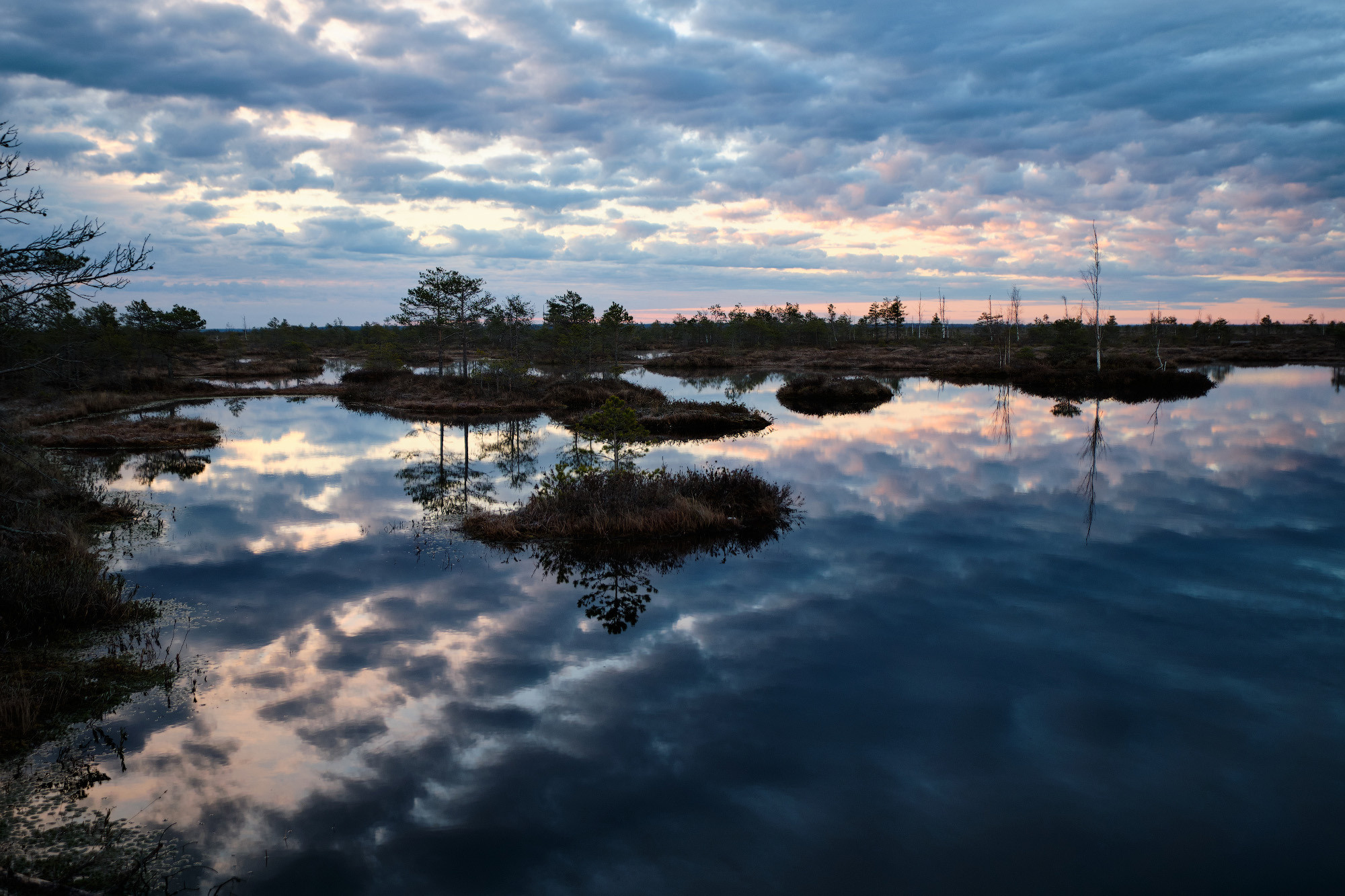 Велопоход по болоту Ельня. Репортажный фотограф Дмитрий Литвинский. Минск, Беларусь, мир