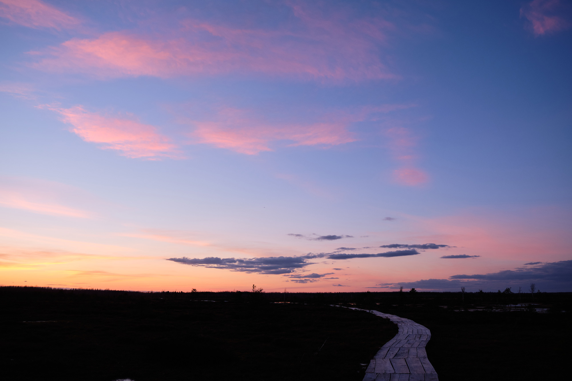 Велопоход по болоту Ельня. Репортажный фотограф Дмитрий Литвинский. Минск, Беларусь, мир