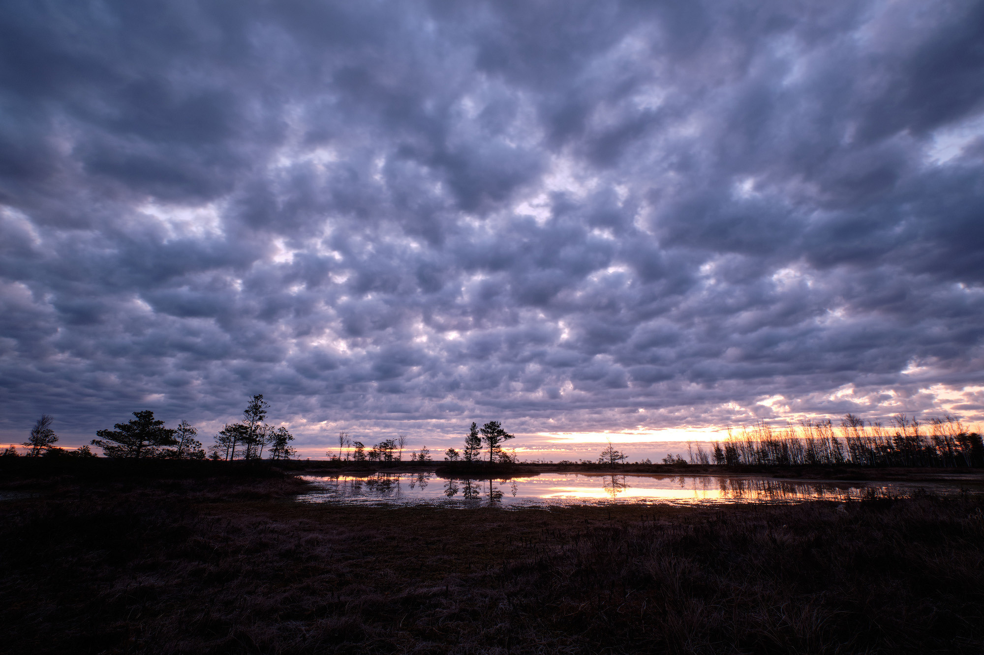 Велопоход по болоту Ельня. Репортажный фотограф Дмитрий Литвинский. Минск, Беларусь, мир