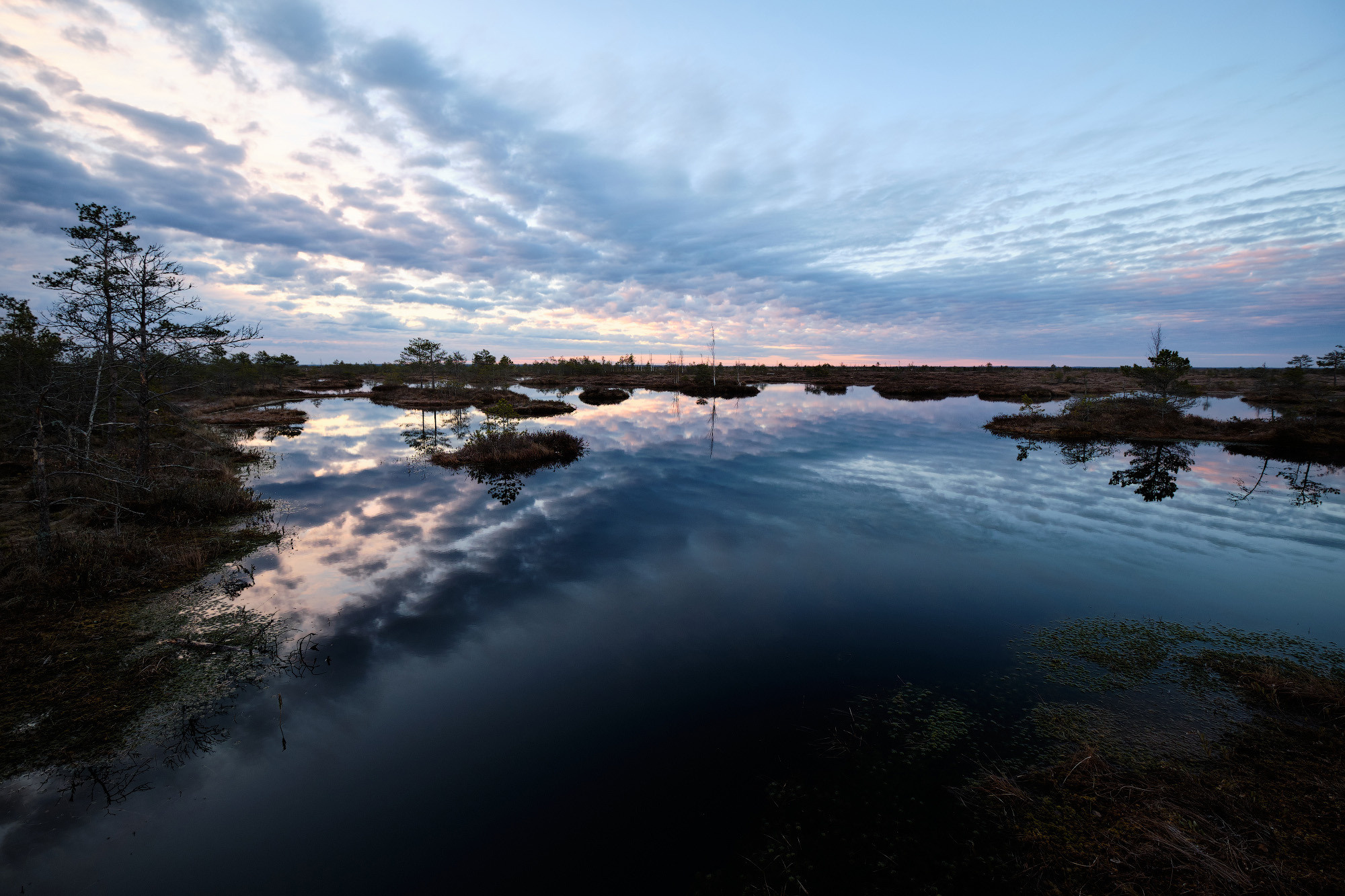 Велопоход по болоту Ельня. Репортажный фотограф Дмитрий Литвинский. Минск, Беларусь, мир