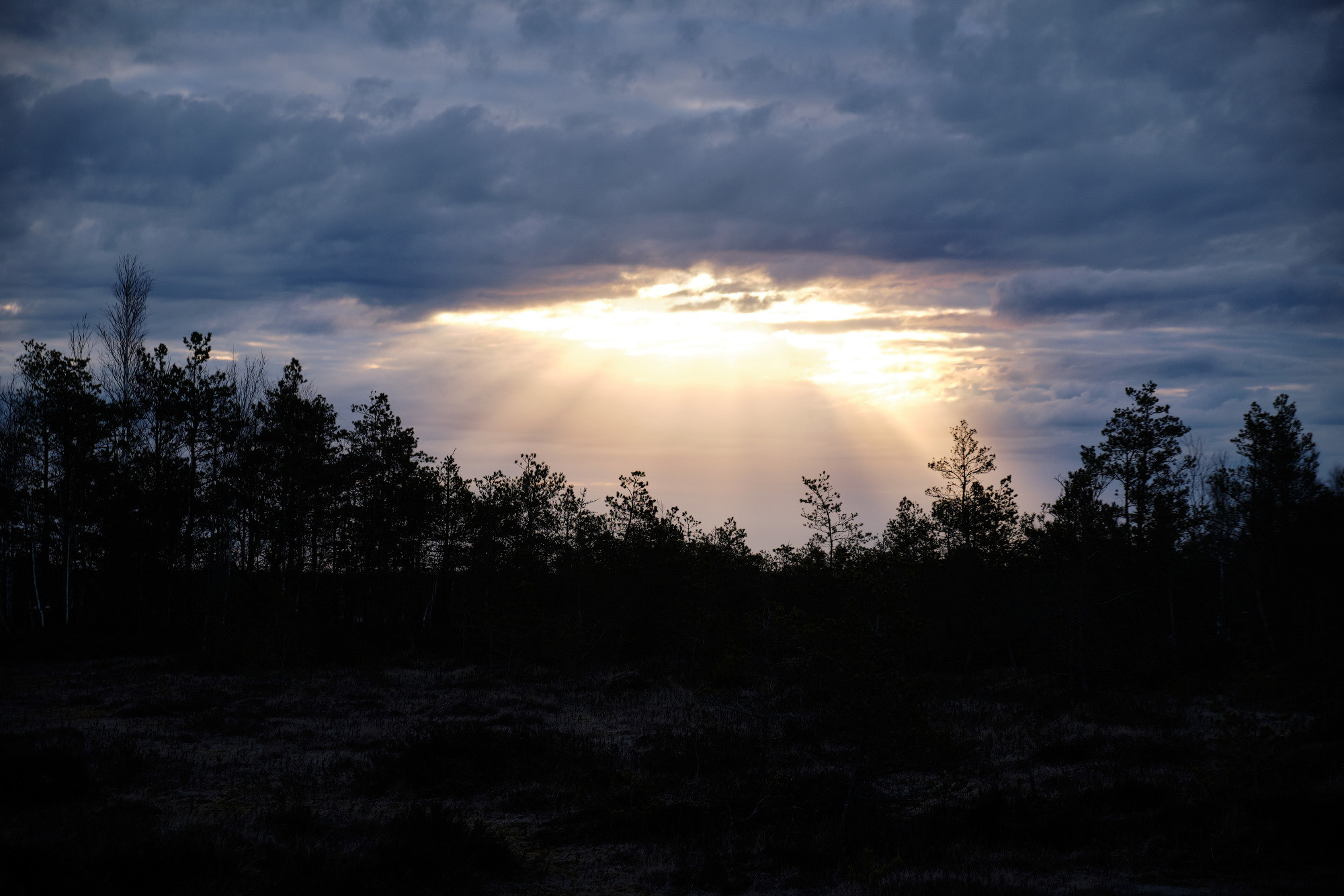 Велопоход по болоту Ельня. Репортажный фотограф Дмитрий Литвинский. Минск, Беларусь, мир