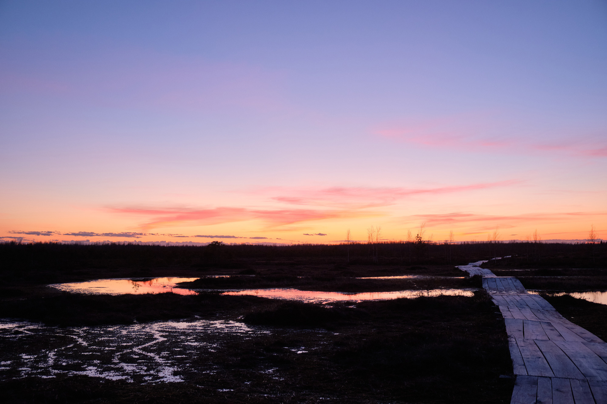 Велопоход по болоту Ельня. Репортажный фотограф Дмитрий Литвинский. Минск, Беларусь, мир