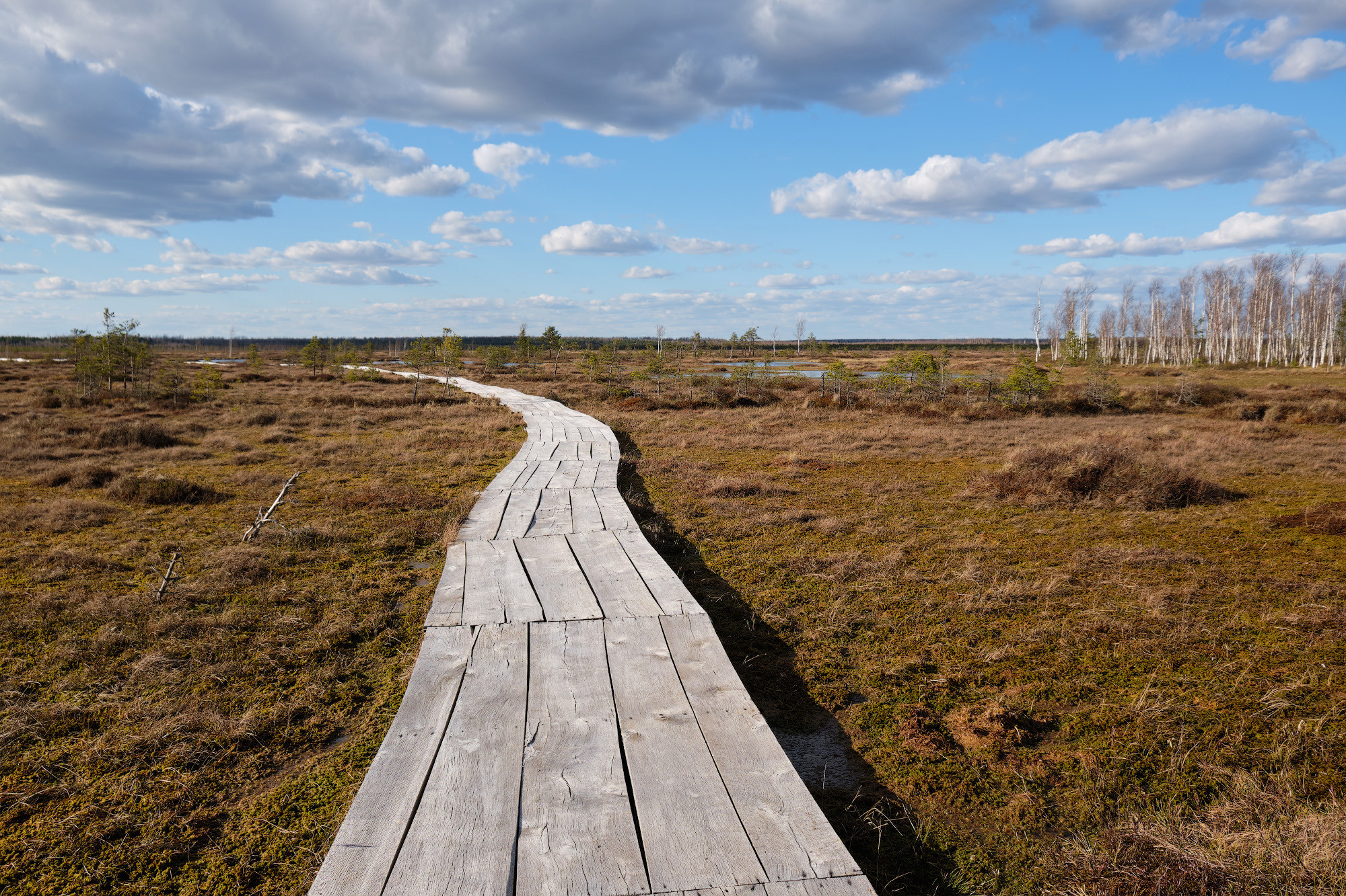 Велопоход по болоту Ельня. Репортажный фотограф Дмитрий Литвинский. Минск, Беларусь, мир