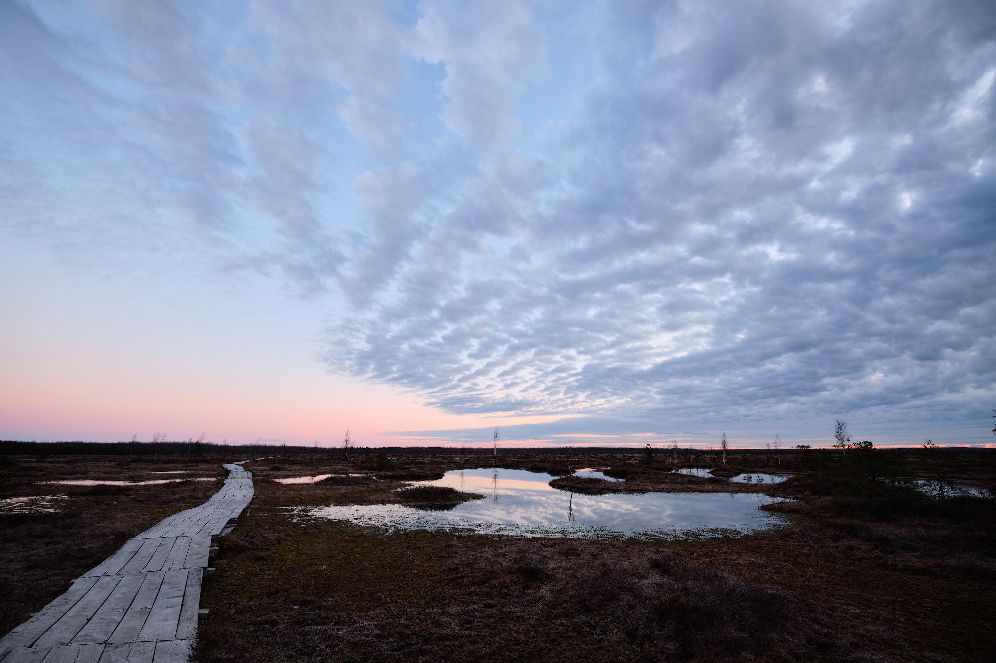 Велопоход по болоту Ельня. Репортажный фотограф Дмитрий Литвинский. Минск, Беларусь, мир