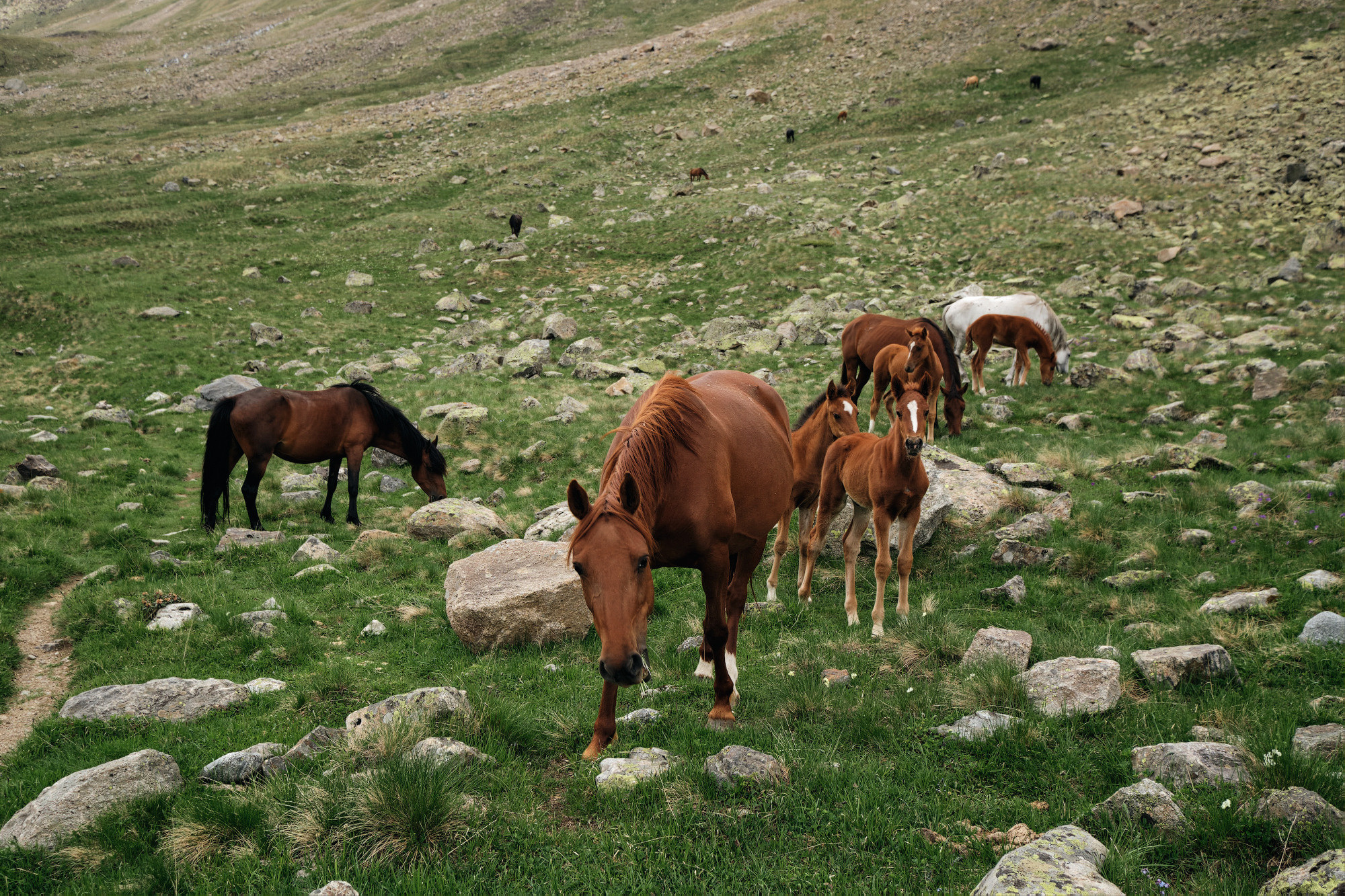 Эльбрус с востока. Июнь 2019 года. Репортажный фотограф Дмитрий Литвинский. Минск, Беларусь, мир