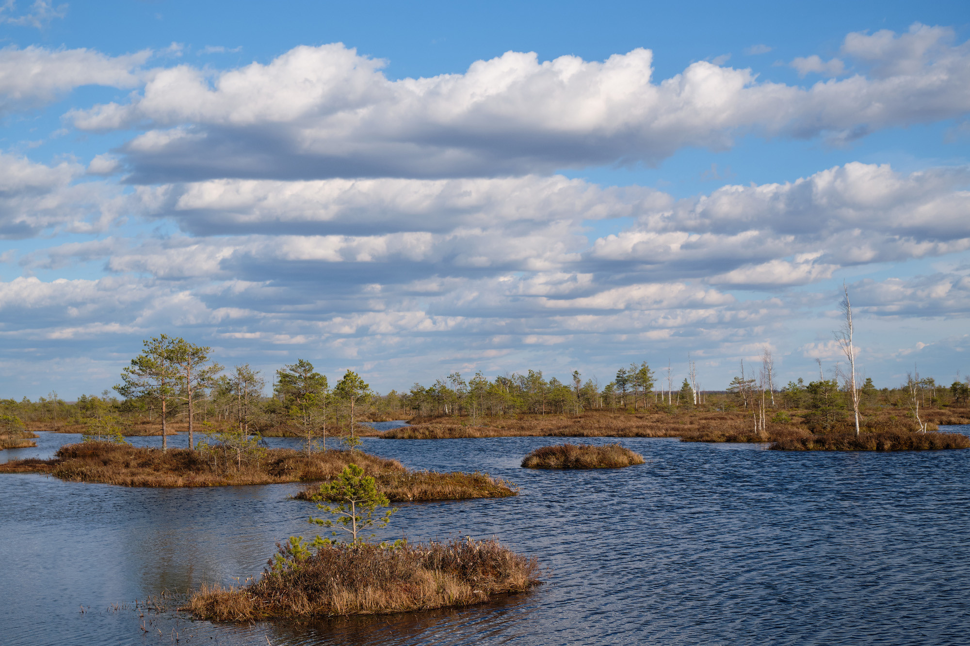 Велопоход по болоту Ельня. Репортажный фотограф Дмитрий Литвинский. Минск, Беларусь, мир