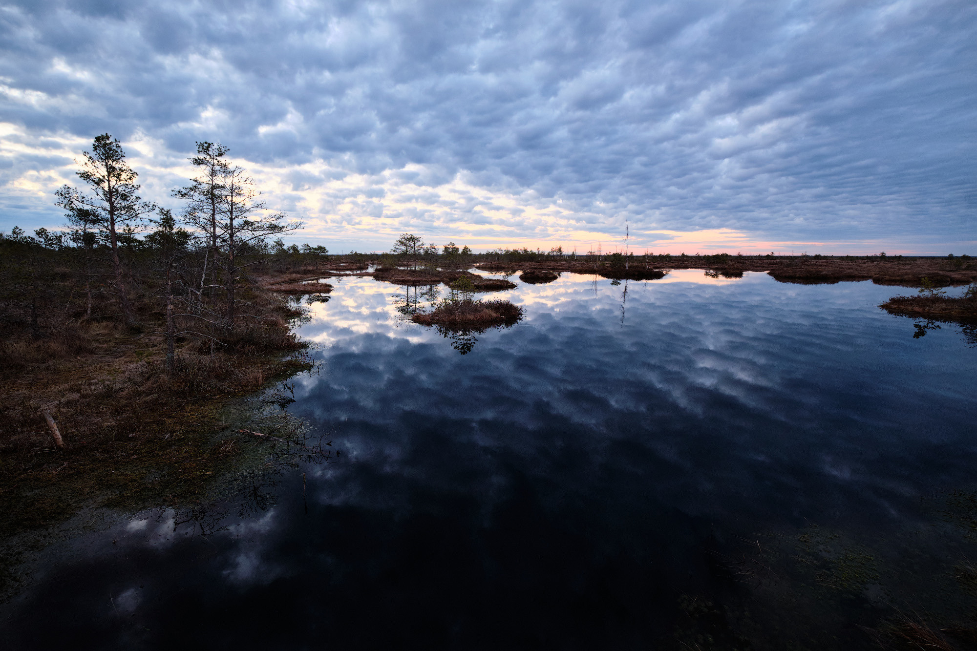 Велопоход по болоту Ельня. Репортажный фотограф Дмитрий Литвинский. Минск, Беларусь, мир