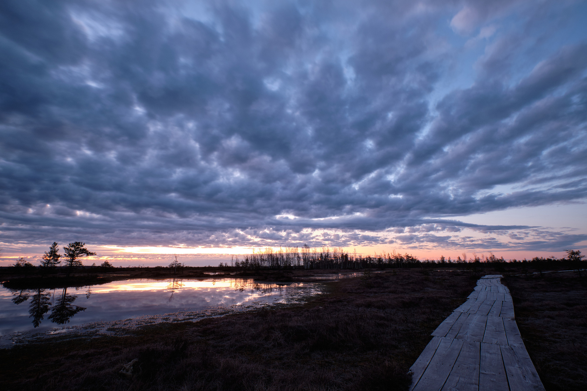 Велопоход по болоту Ельня. Репортажный фотограф Дмитрий Литвинский. Минск, Беларусь, мир