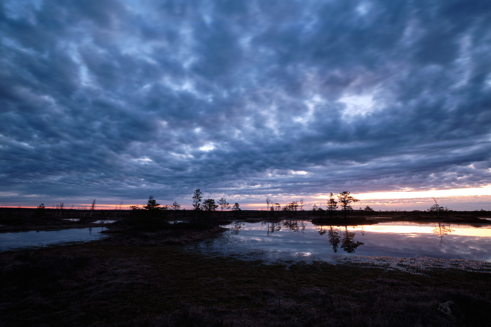 Велопоход по болоту Ельня. Репортажный фотограф Дмитрий Литвинский. Минск, Беларусь, мир