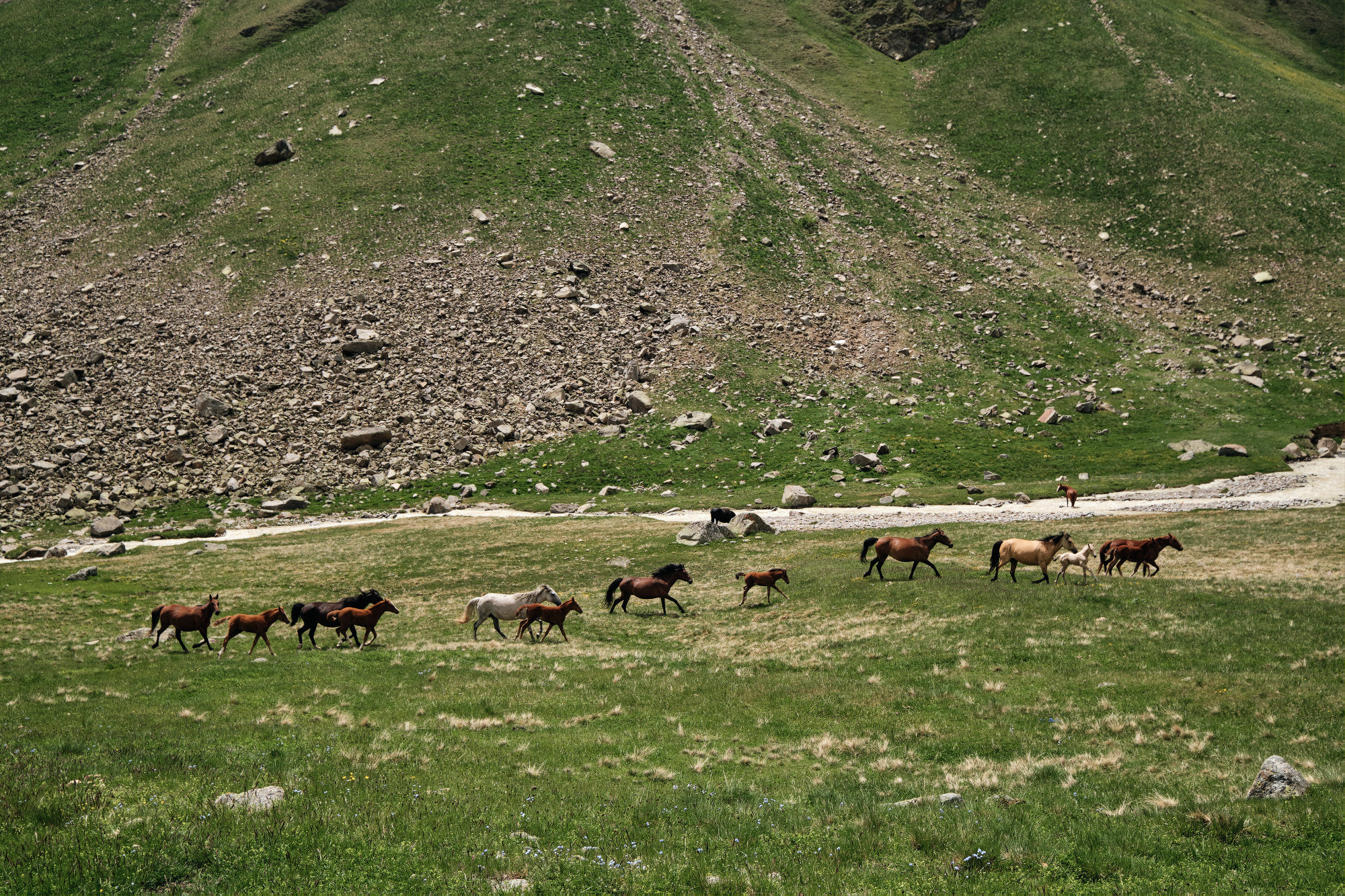Эльбрус с востока. Июнь 2019 года. Репортажный фотограф Дмитрий Литвинский. Минск, Беларусь, мир