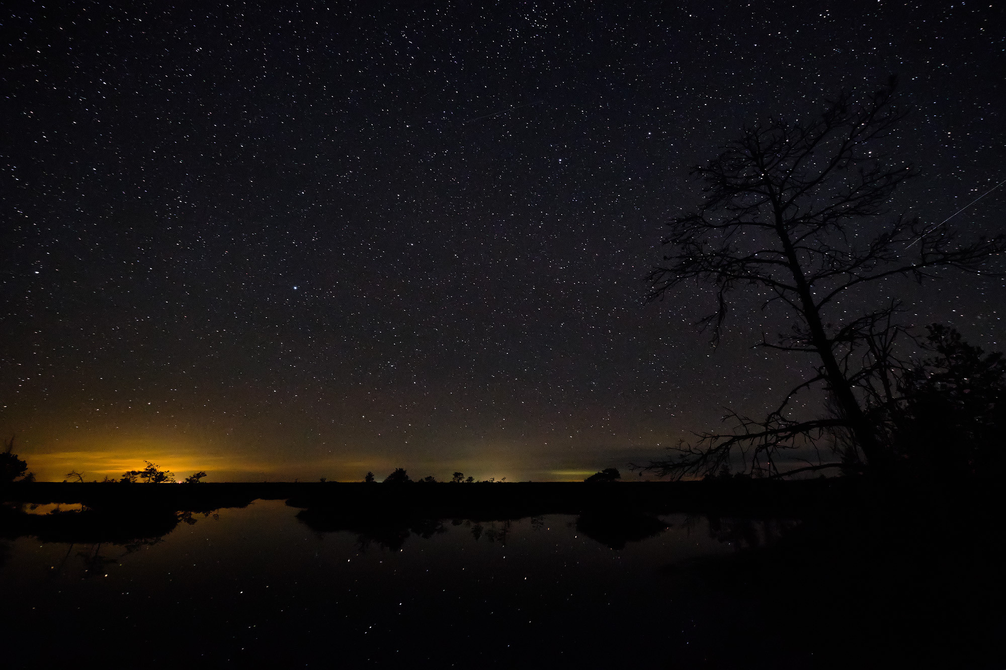 Велопоход по болоту Ельня. Репортажный фотограф Дмитрий Литвинский. Минск, Беларусь, мир