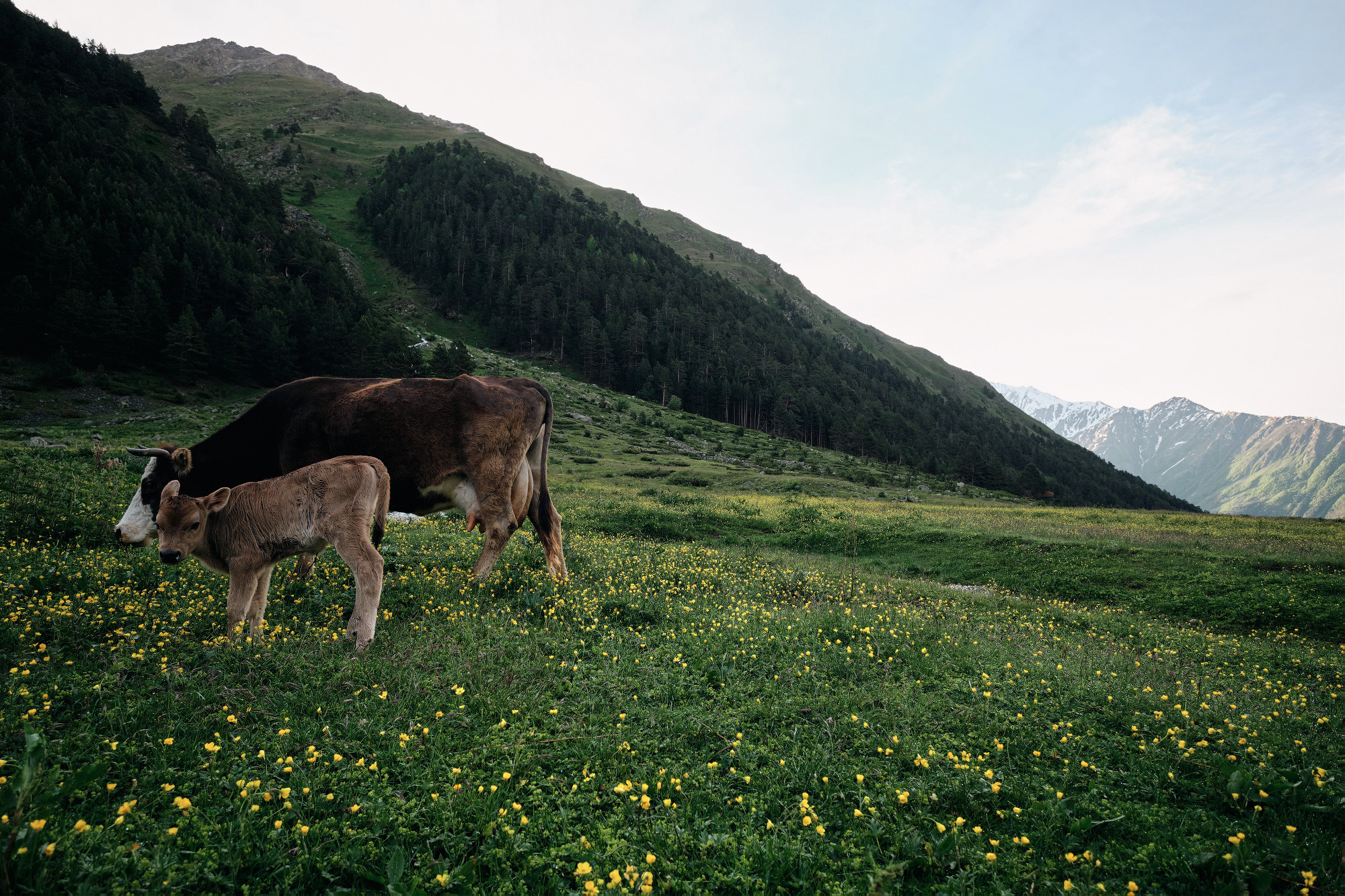 Эльбрус с востока. Июнь 2019 года. Репортажный фотограф Дмитрий Литвинский. Минск, Беларусь, мир