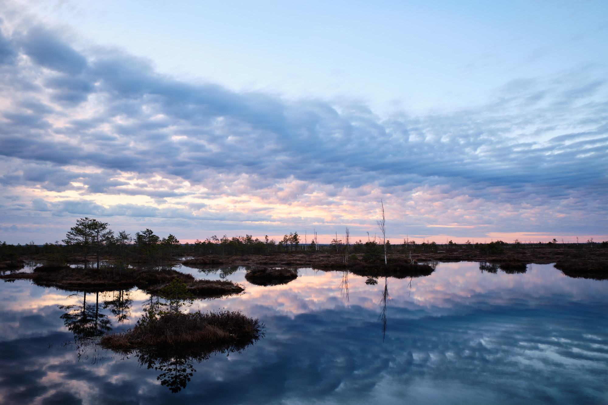 Велопоход по болоту Ельня. Репортажный фотограф Дмитрий Литвинский. Минск, Беларусь, мир