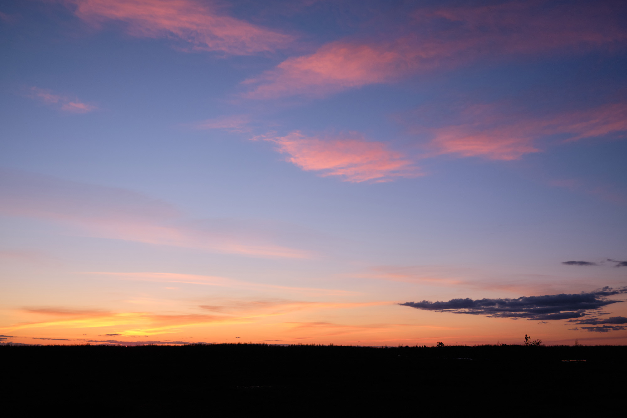 Велопоход по болоту Ельня. Репортажный фотограф Дмитрий Литвинский. Минск, Беларусь, мир
