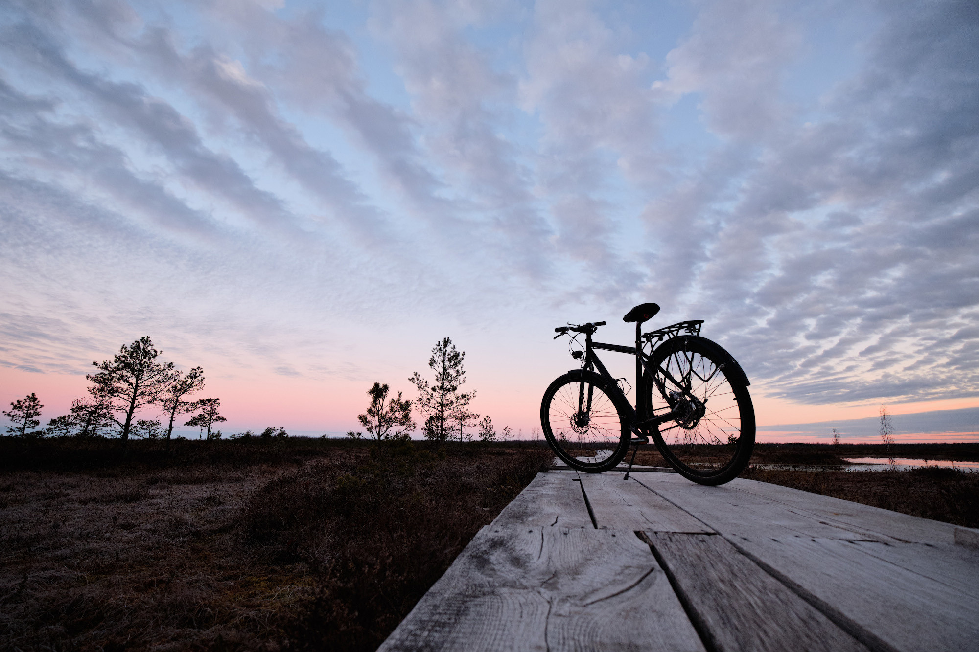 Велопоход по болоту Ельня. Репортажный фотограф Дмитрий Литвинский. Минск, Беларусь, мир