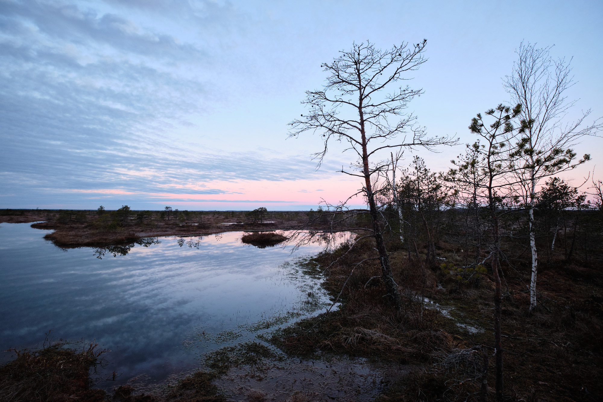 Велопоход по болоту Ельня. Репортажный фотограф Дмитрий Литвинский. Минск, Беларусь, мир