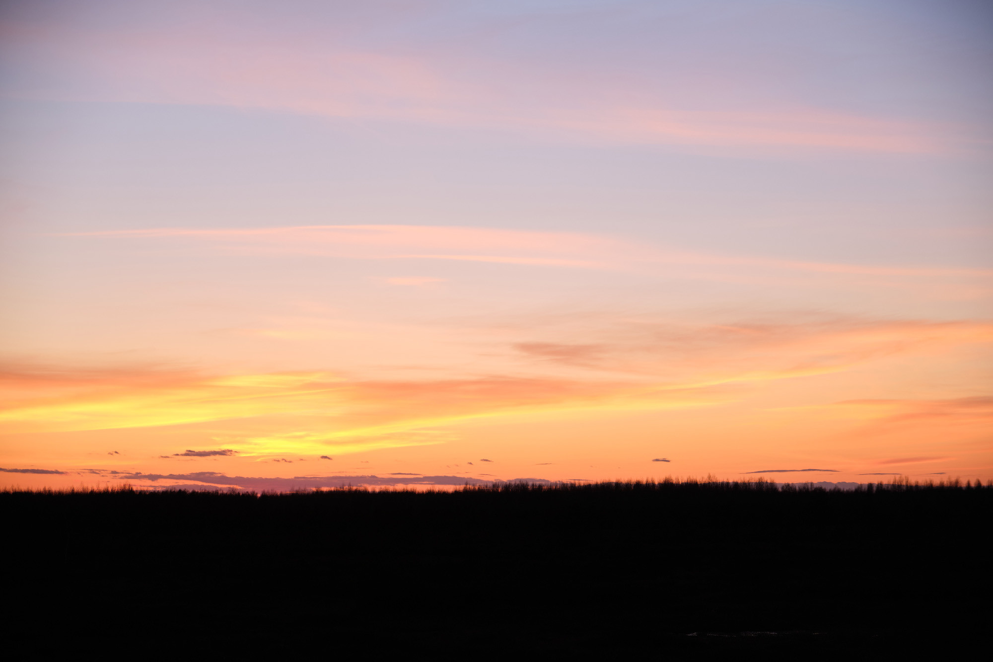 Велопоход по болоту Ельня. Репортажный фотограф Дмитрий Литвинский. Минск, Беларусь, мир