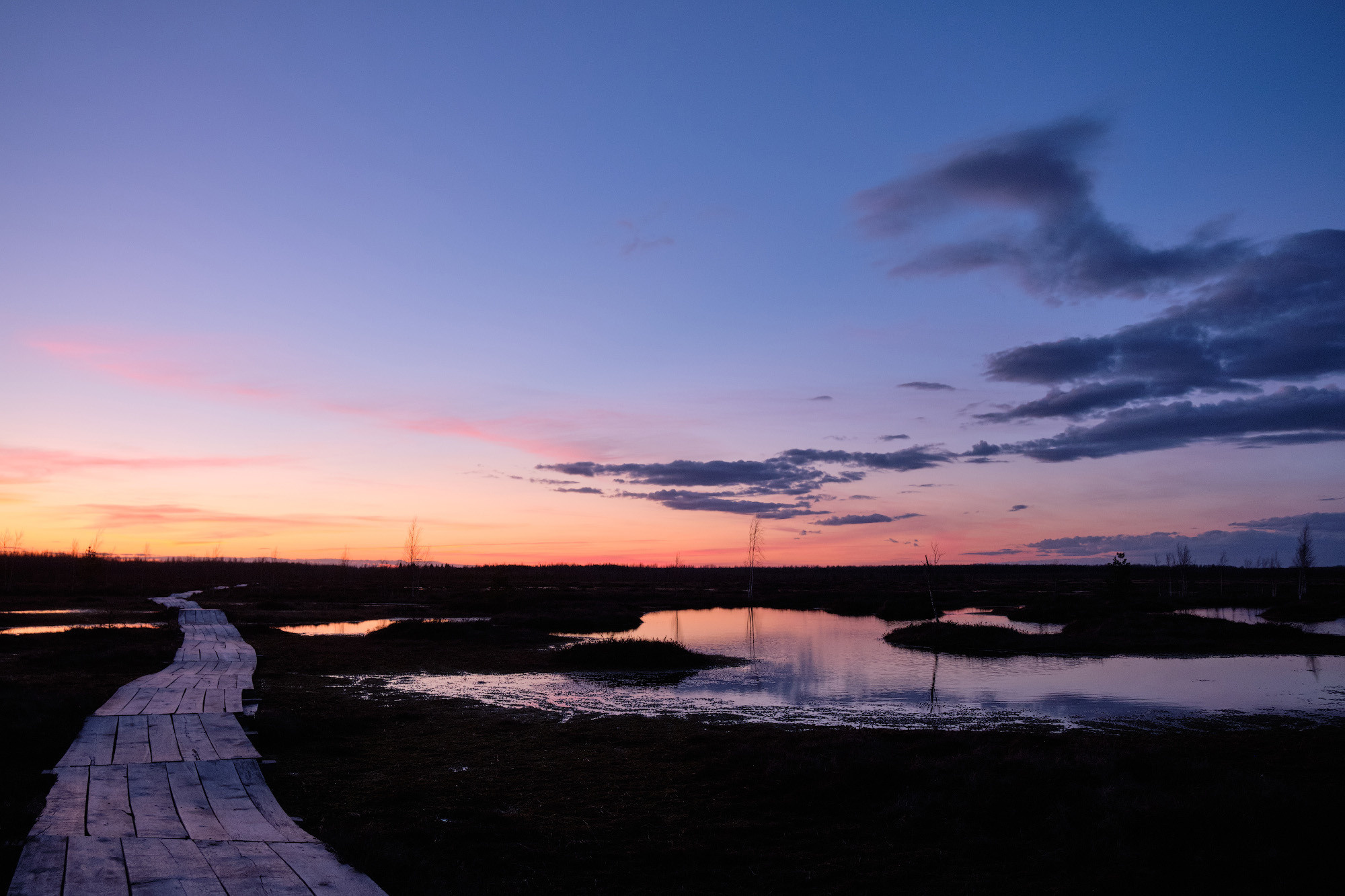 Велопоход по болоту Ельня. Репортажный фотограф Дмитрий Литвинский. Минск, Беларусь, мир
