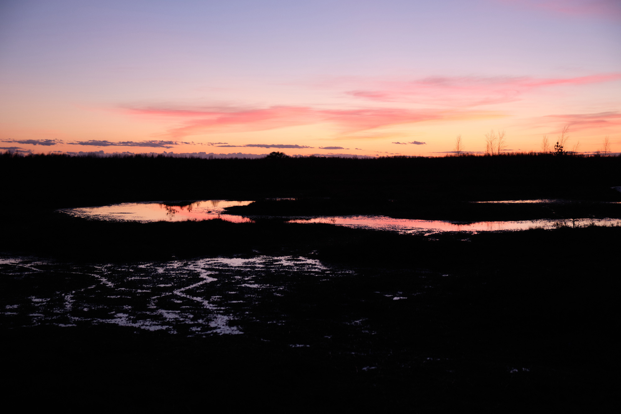 Велопоход по болоту Ельня. Репортажный фотограф Дмитрий Литвинский. Минск, Беларусь, мир