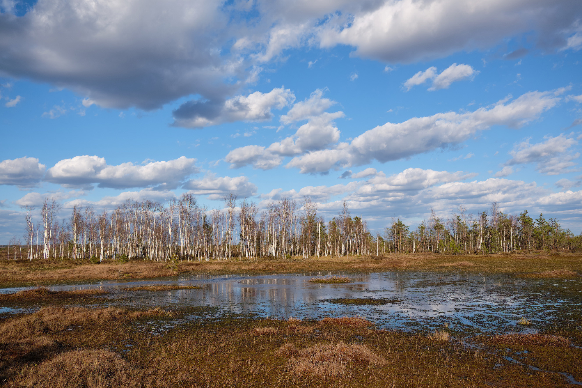 Велопоход по болоту Ельня. Репортажный фотограф Дмитрий Литвинский. Минск, Беларусь, мир